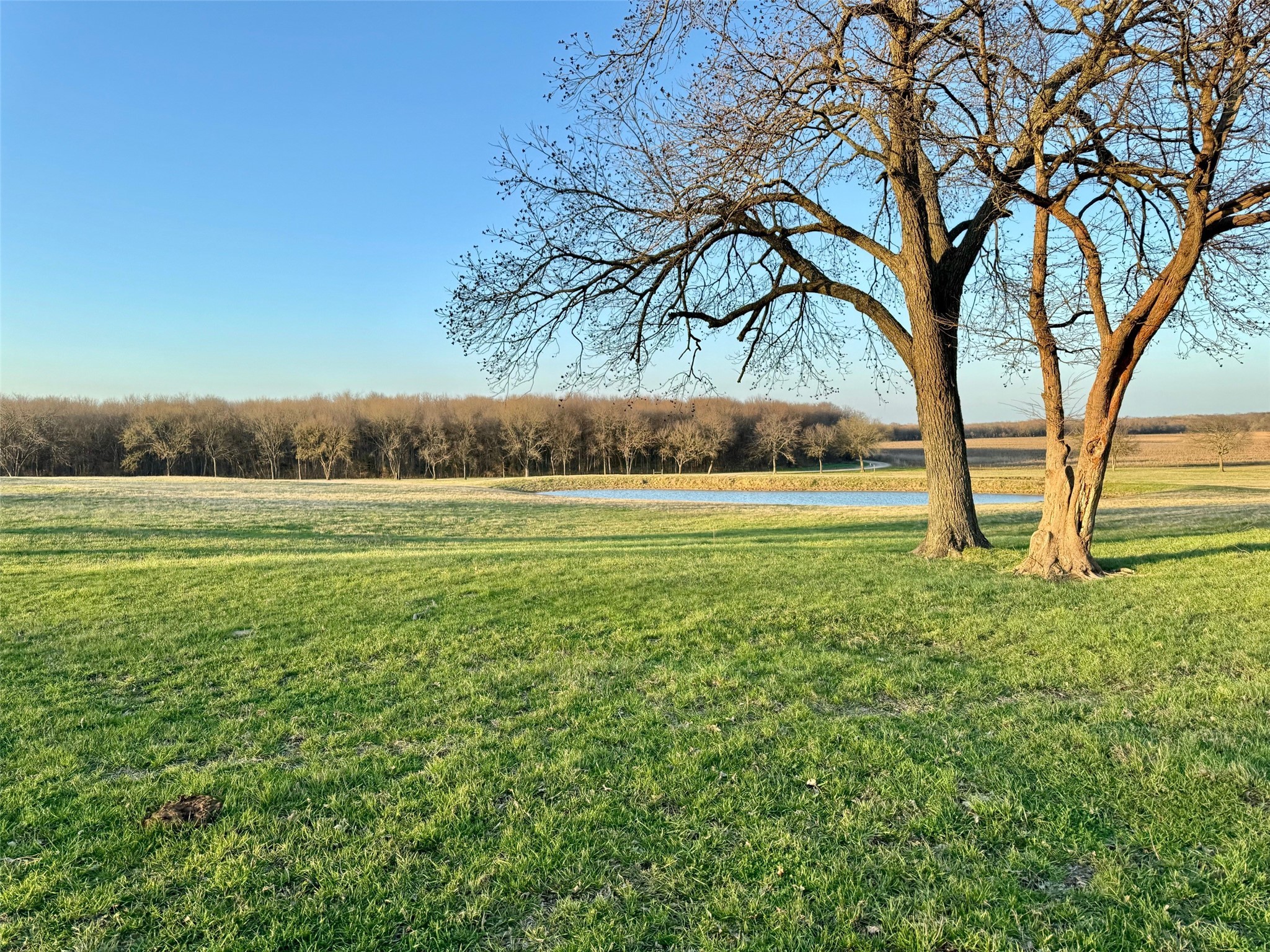 2473 County Road 4215 Bonham TX 75418