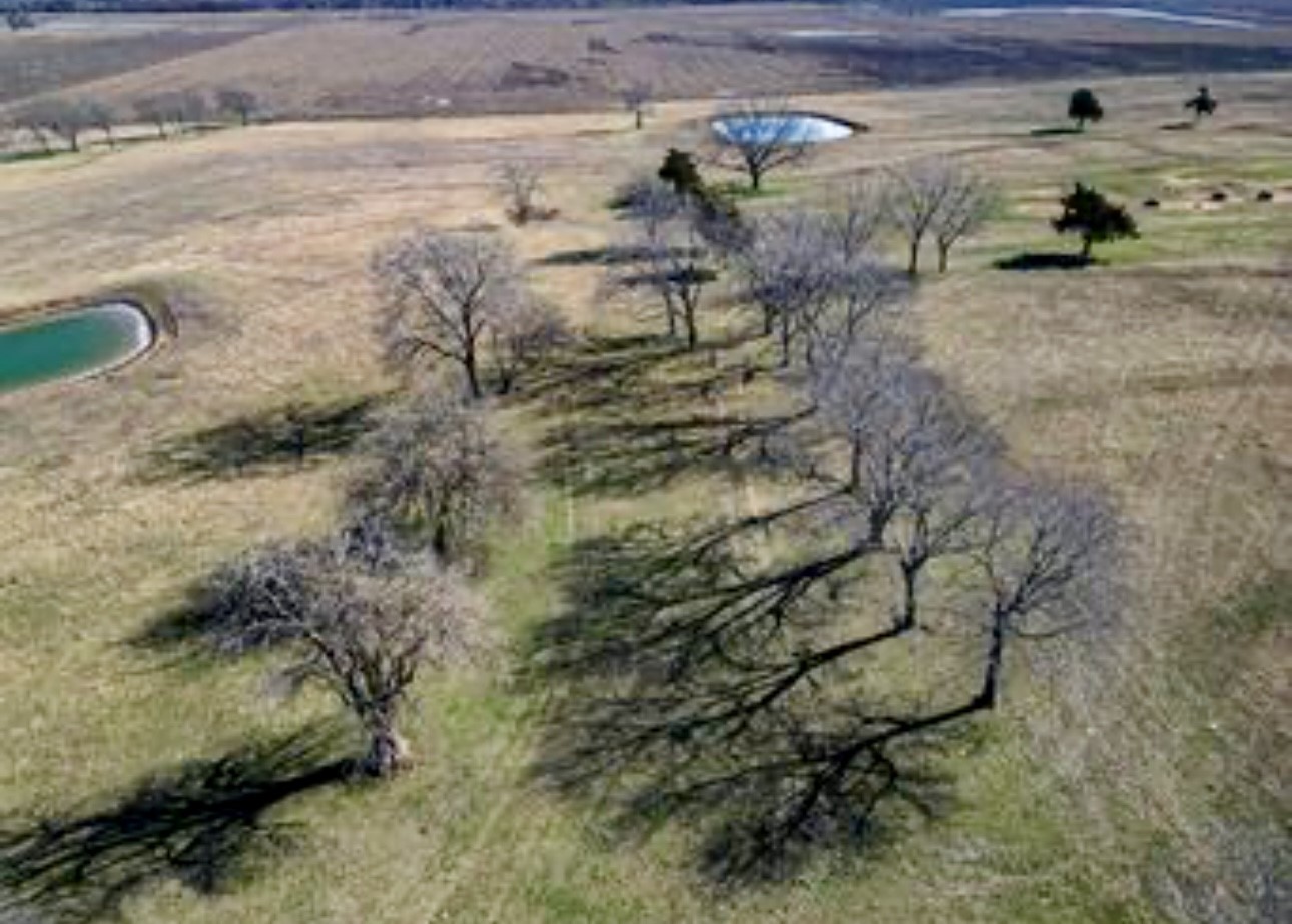 2473 County Road 4215 Bonham TX 75418