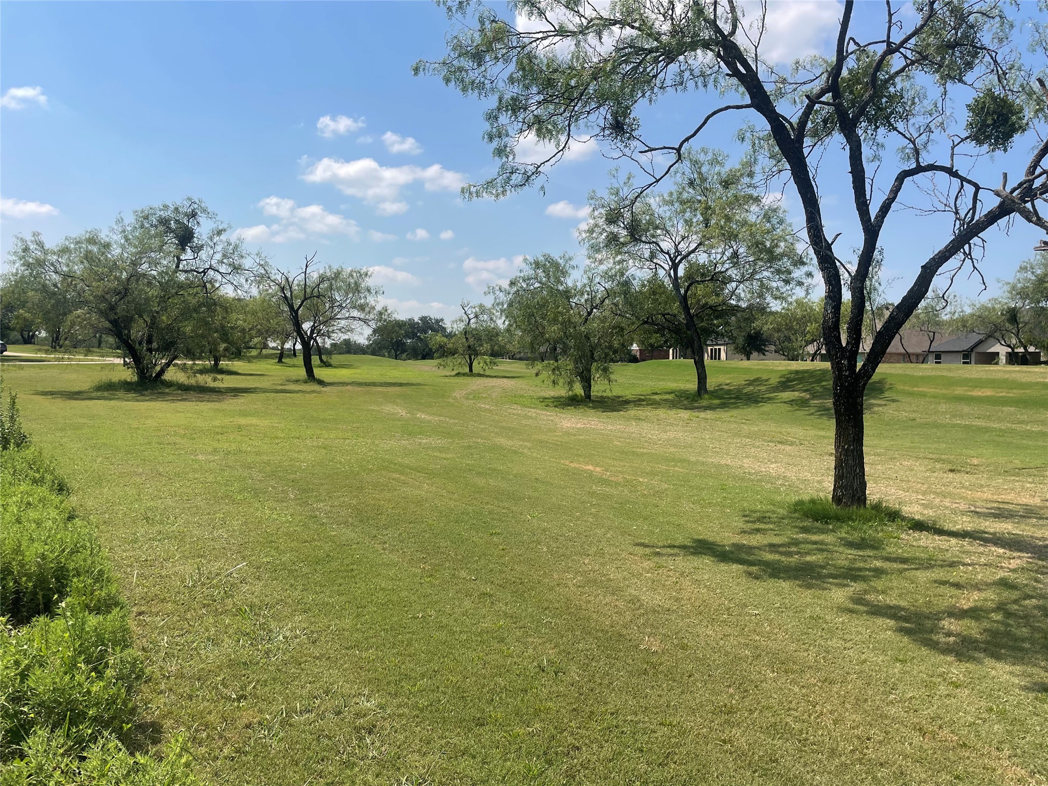 27098 Meadowmore Court Whitney TX 76692
