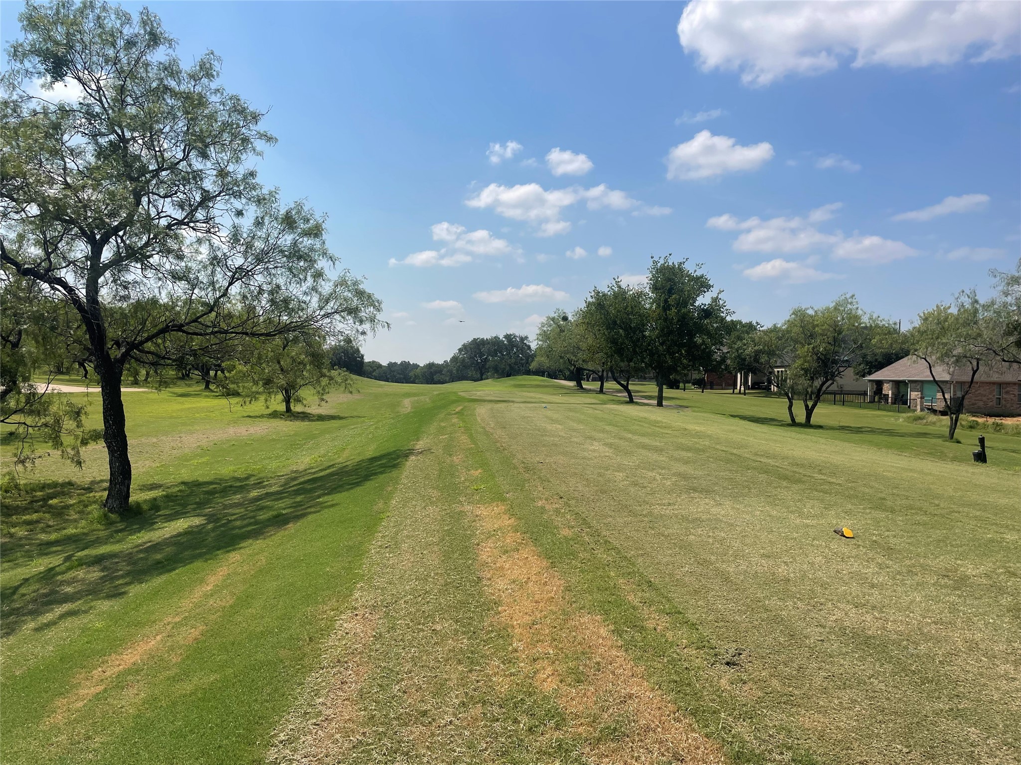 27098 Meadowmore Court Whitney TX 76692
