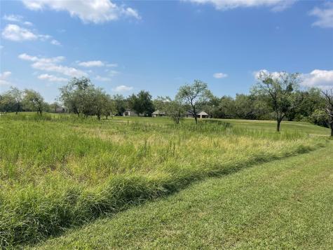 27098 Meadowmore Court Whitney TX 76692