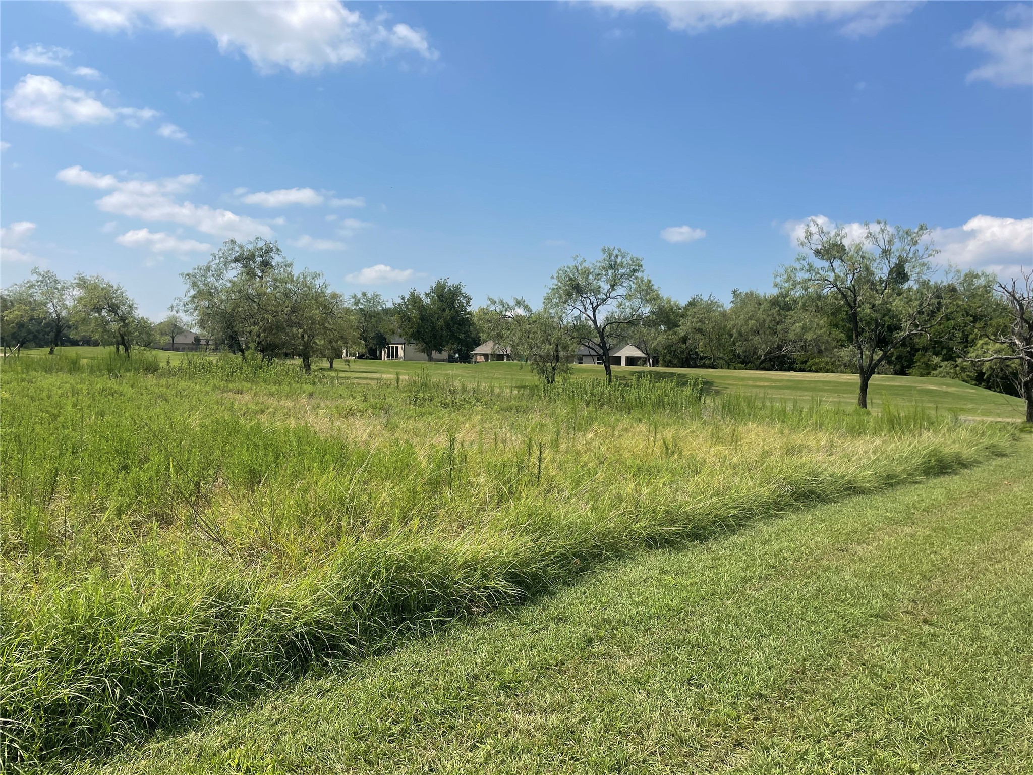 27098 Meadowmore Court Whitney TX 76692