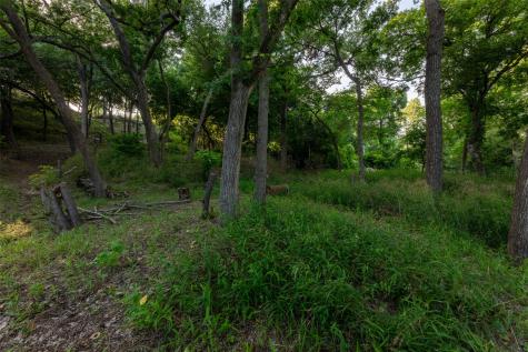 9710 Bellechase Road Granbury TX 76049