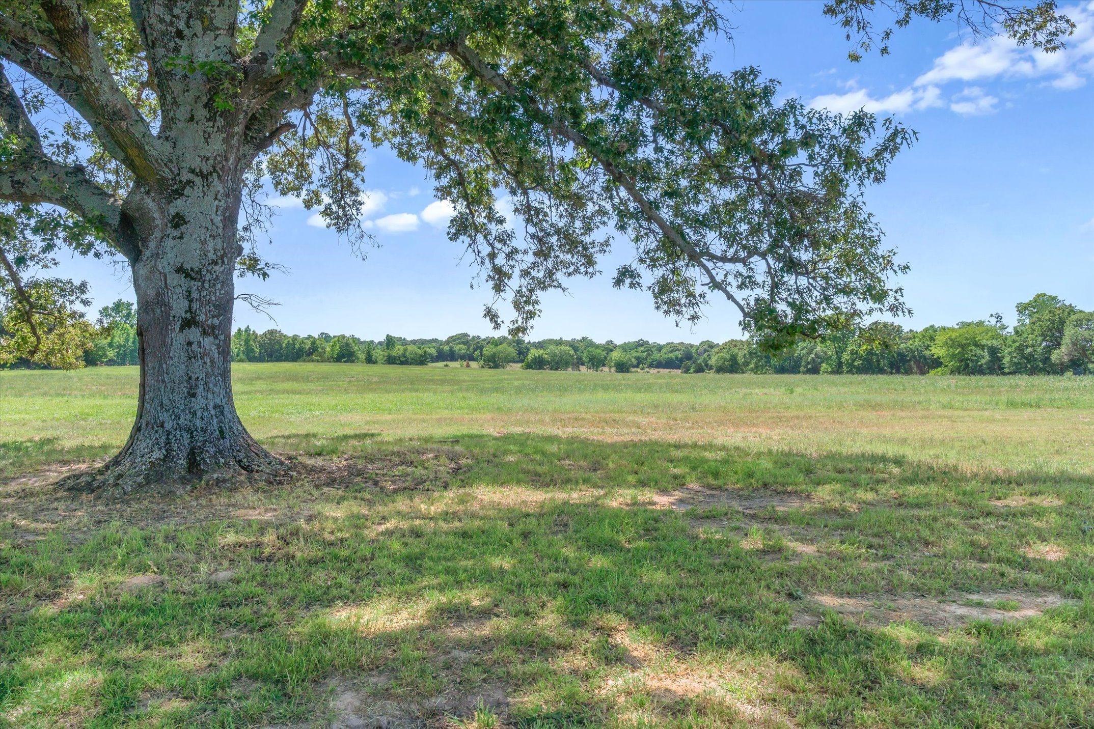 Tbd County Road 4509 Ben Wheeler TX 75754