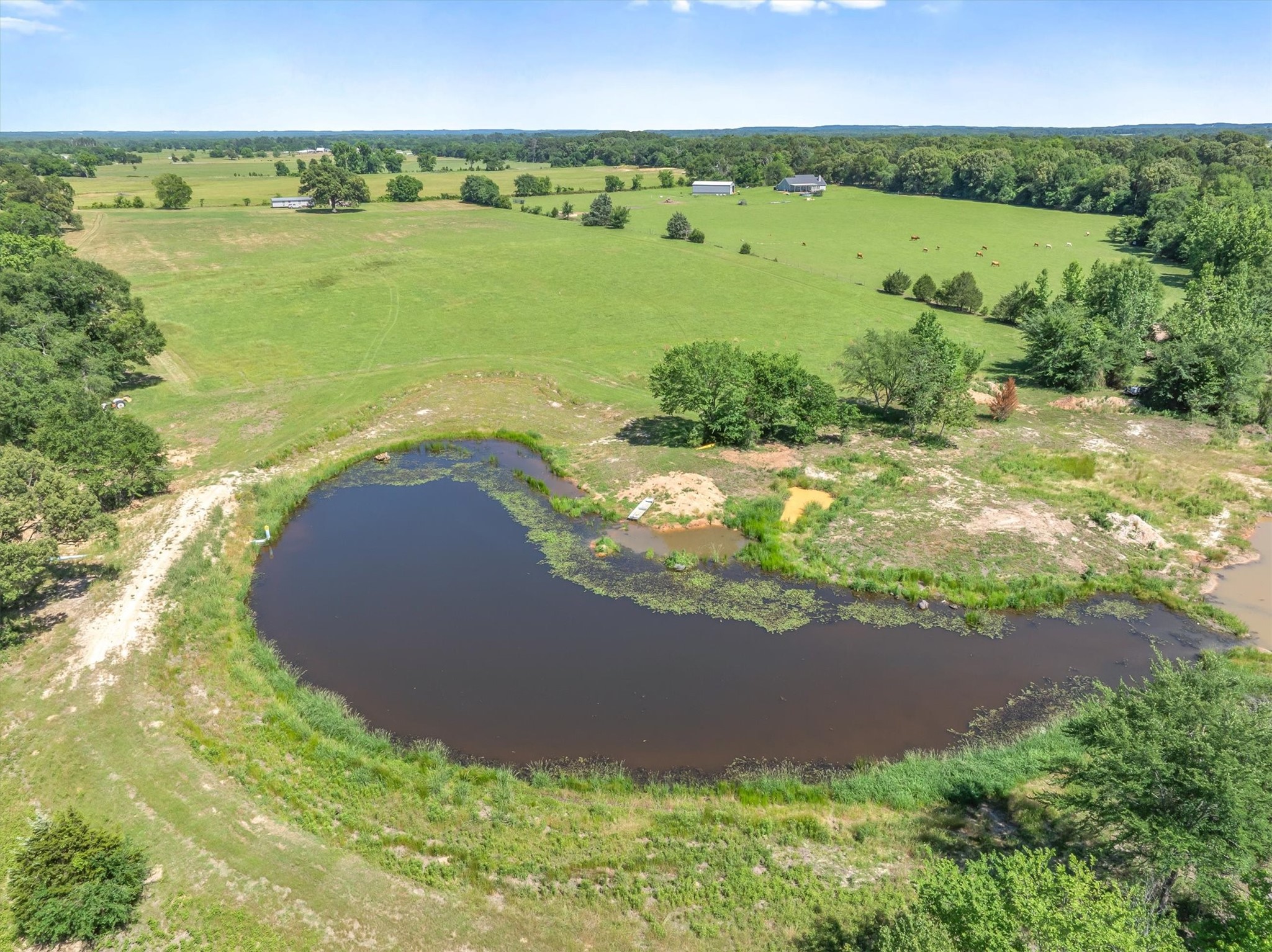 Tbd County Road 4509 Ben Wheeler TX 75754