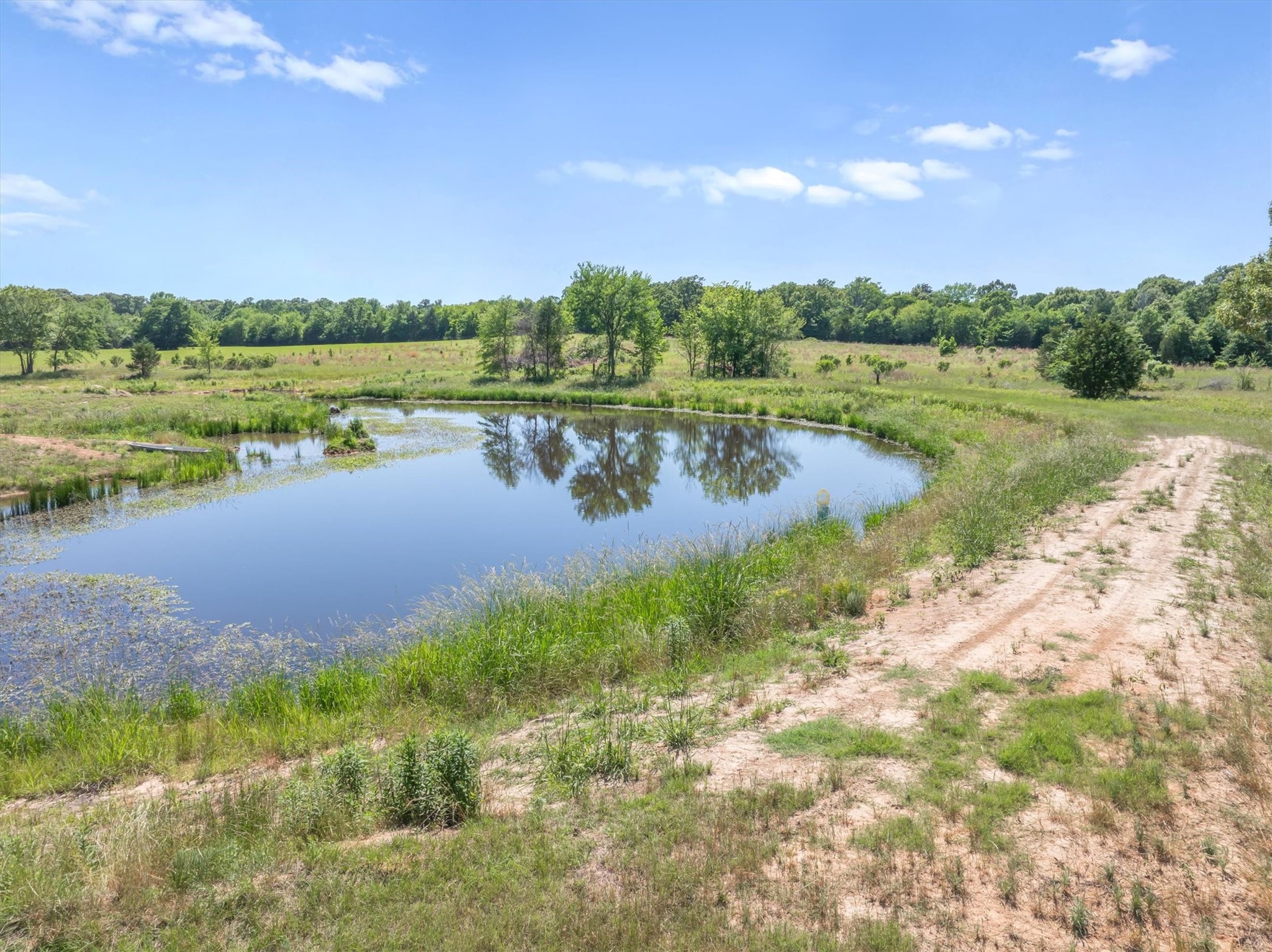 Tbd County Road 4509 Ben Wheeler TX 75754