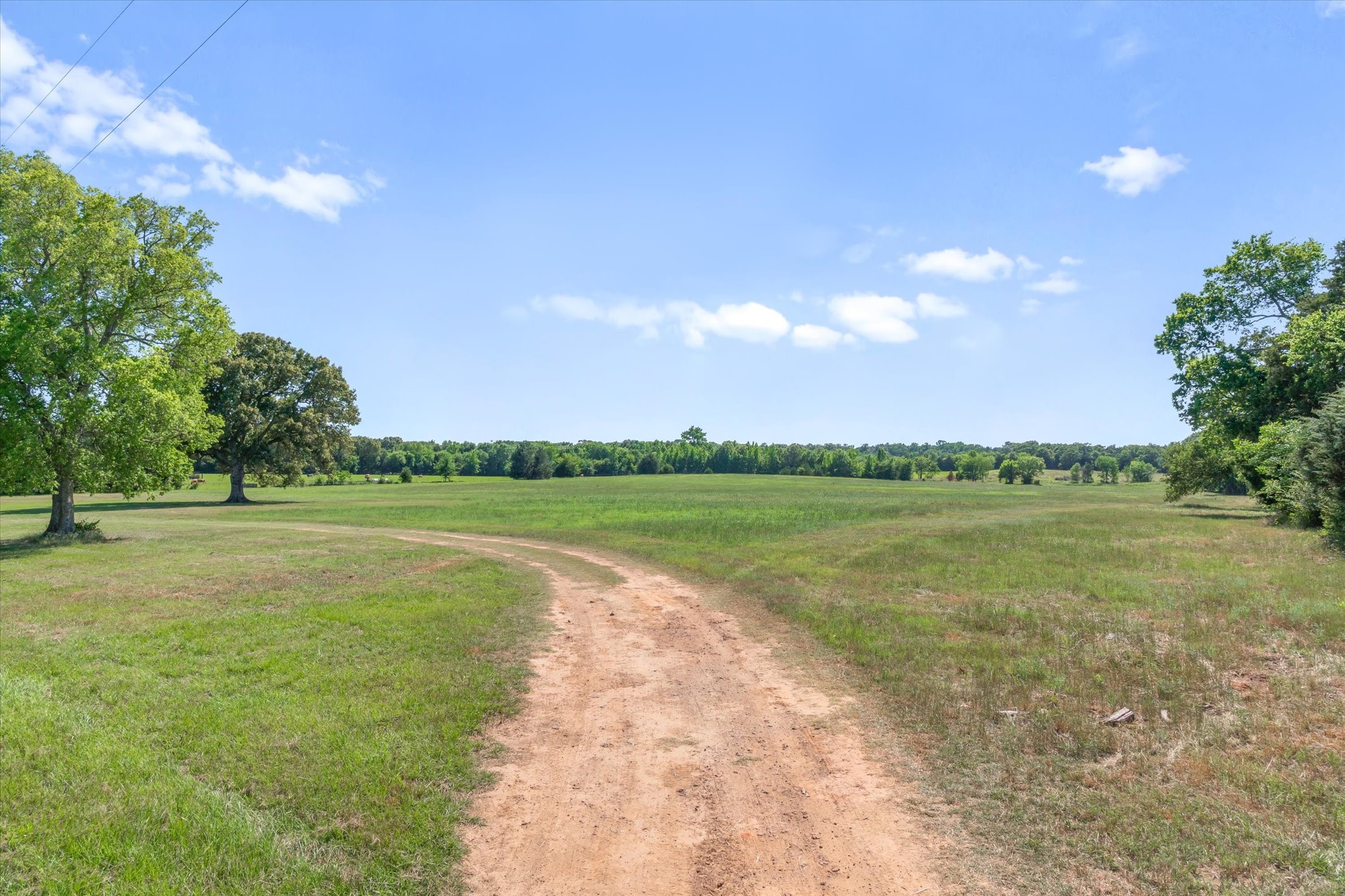 Tbd County Road 4509 Ben Wheeler TX 75754