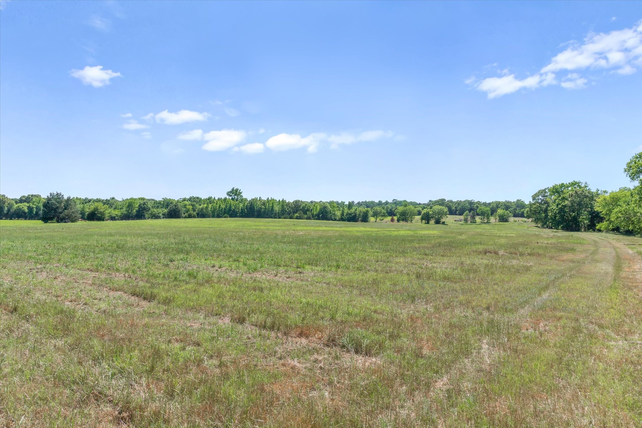 Tbd County Road 4509 Ben Wheeler TX 75754