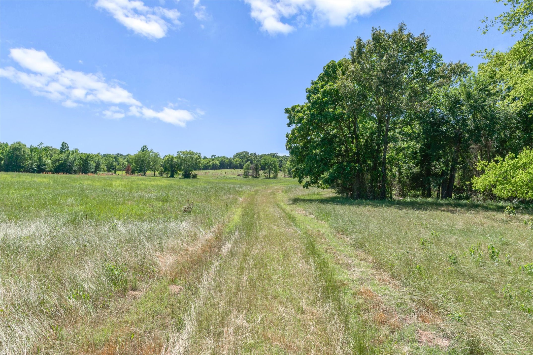 Tbd County Road 4509 Ben Wheeler TX 75754