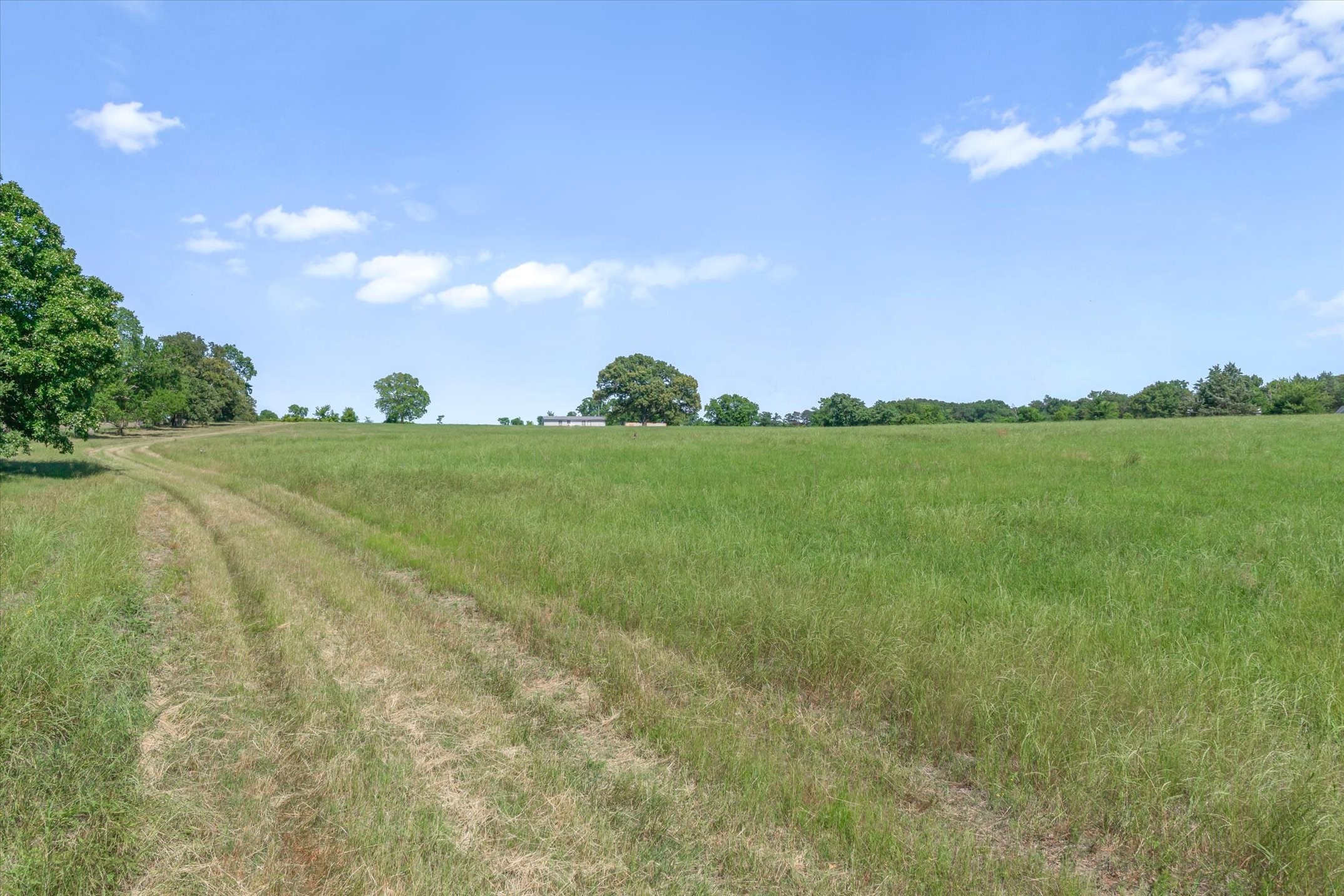 Tbd County Road 4509 Ben Wheeler TX 75754