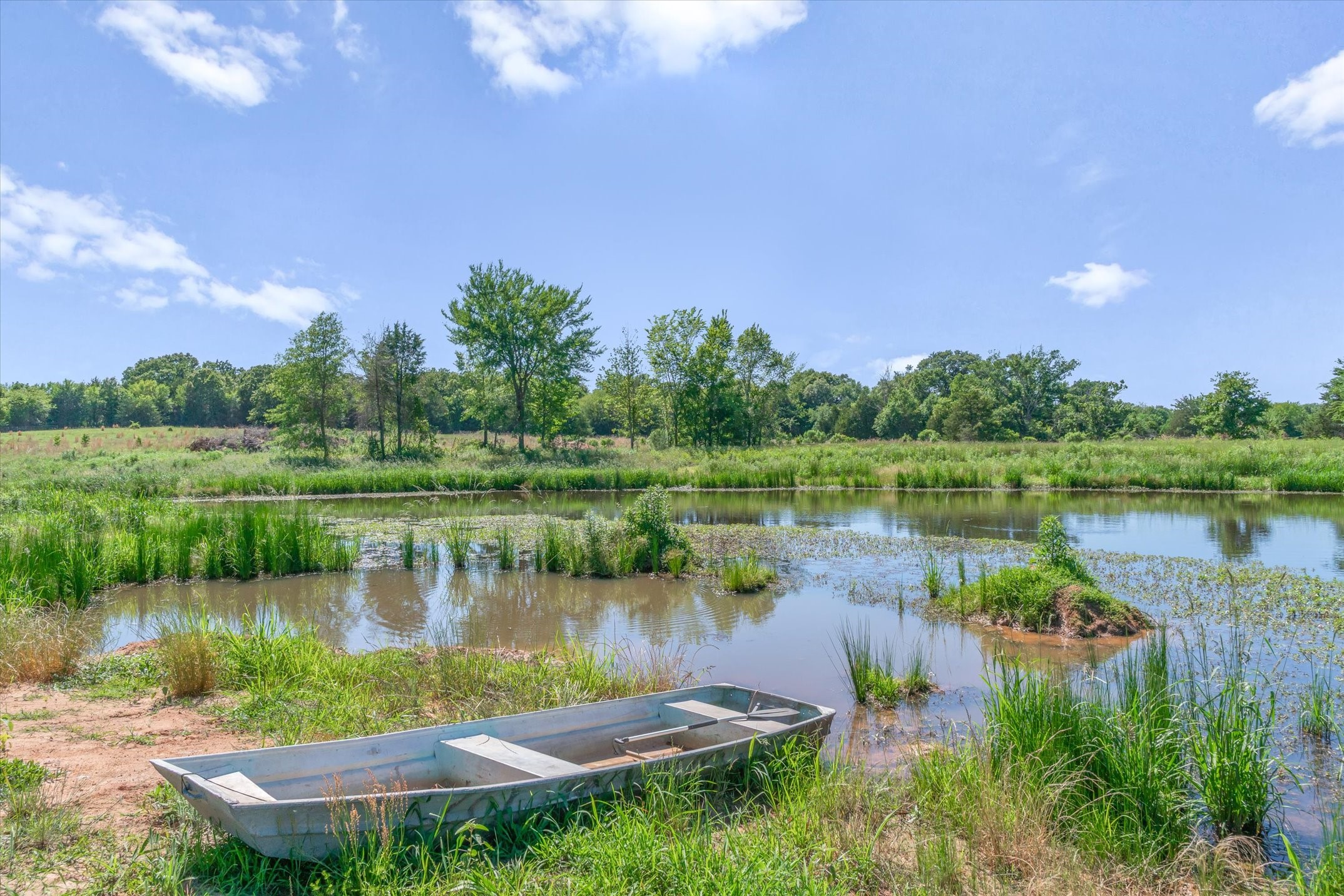 Tbd County Road 4509 Ben Wheeler TX 75754