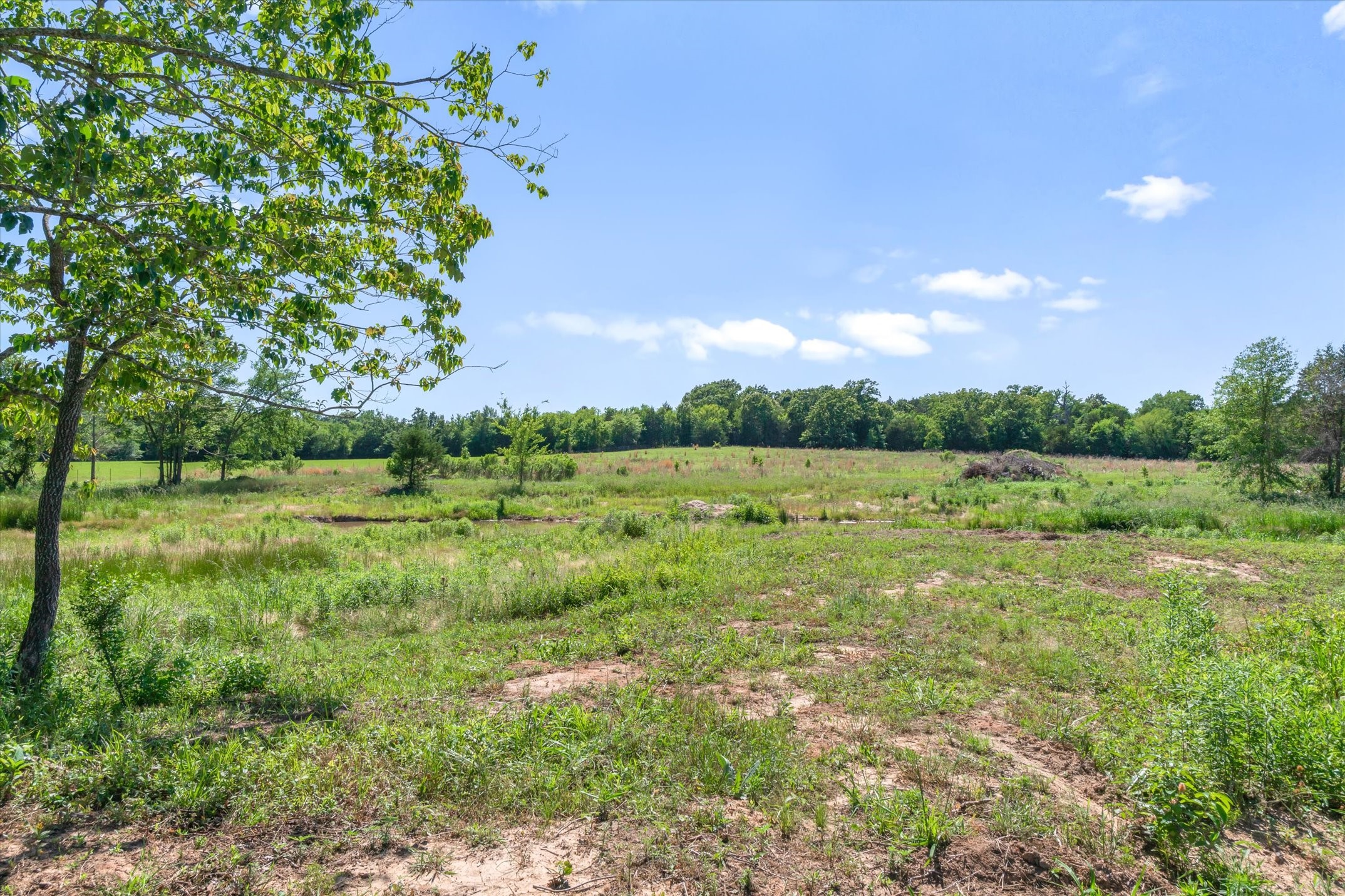 Tbd County Road 4509 Ben Wheeler TX 75754