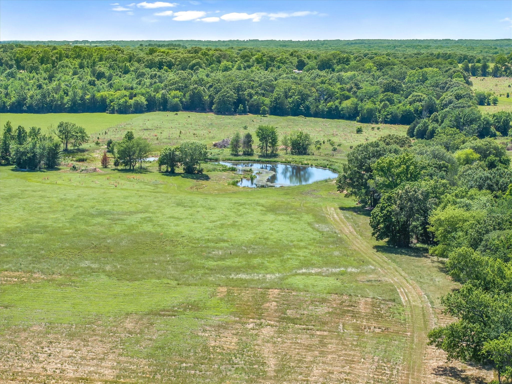 Tbd County Road 4509 Ben Wheeler TX 75754