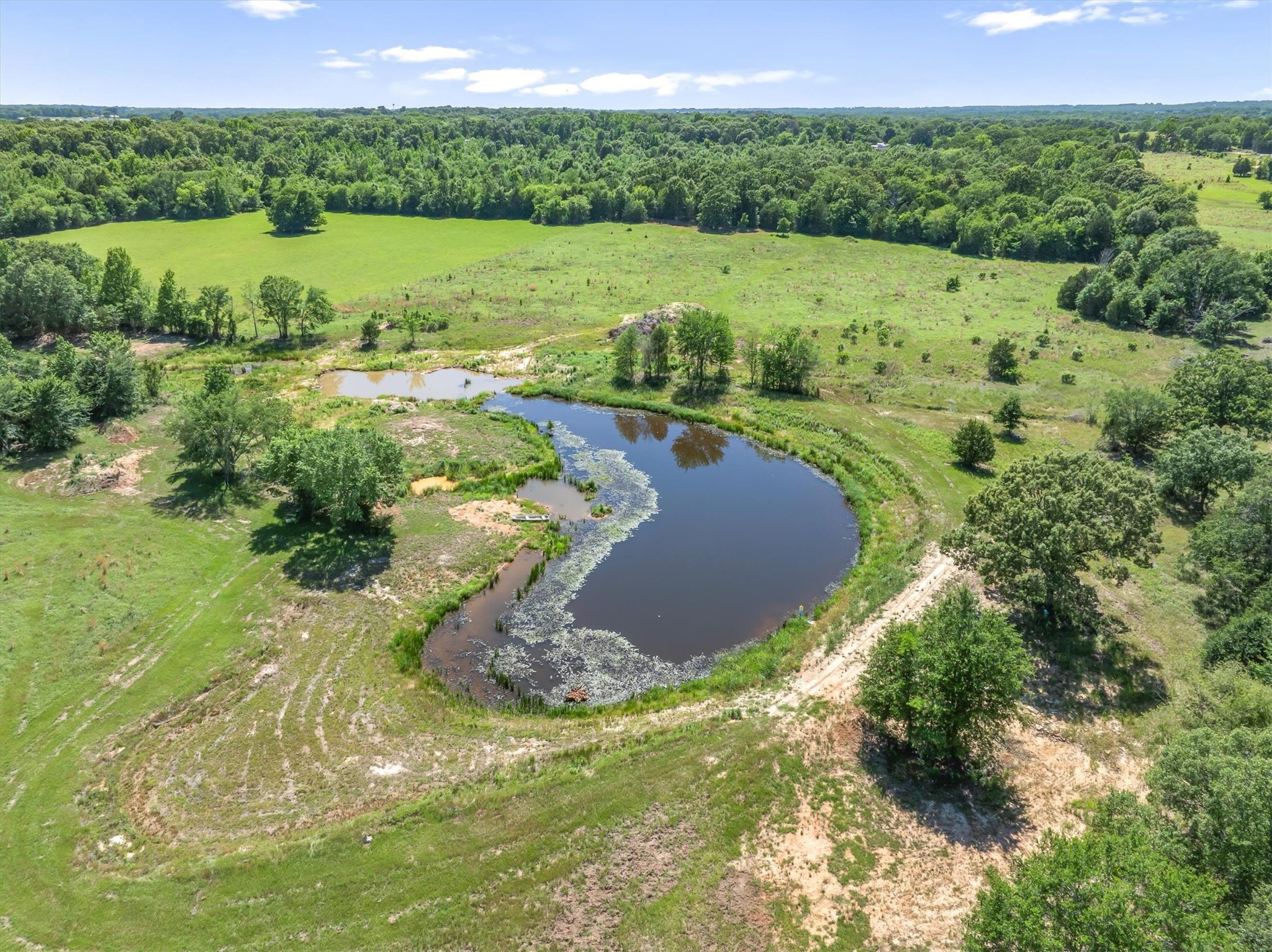 Tbd County Road 4509 Ben Wheeler TX 75754
