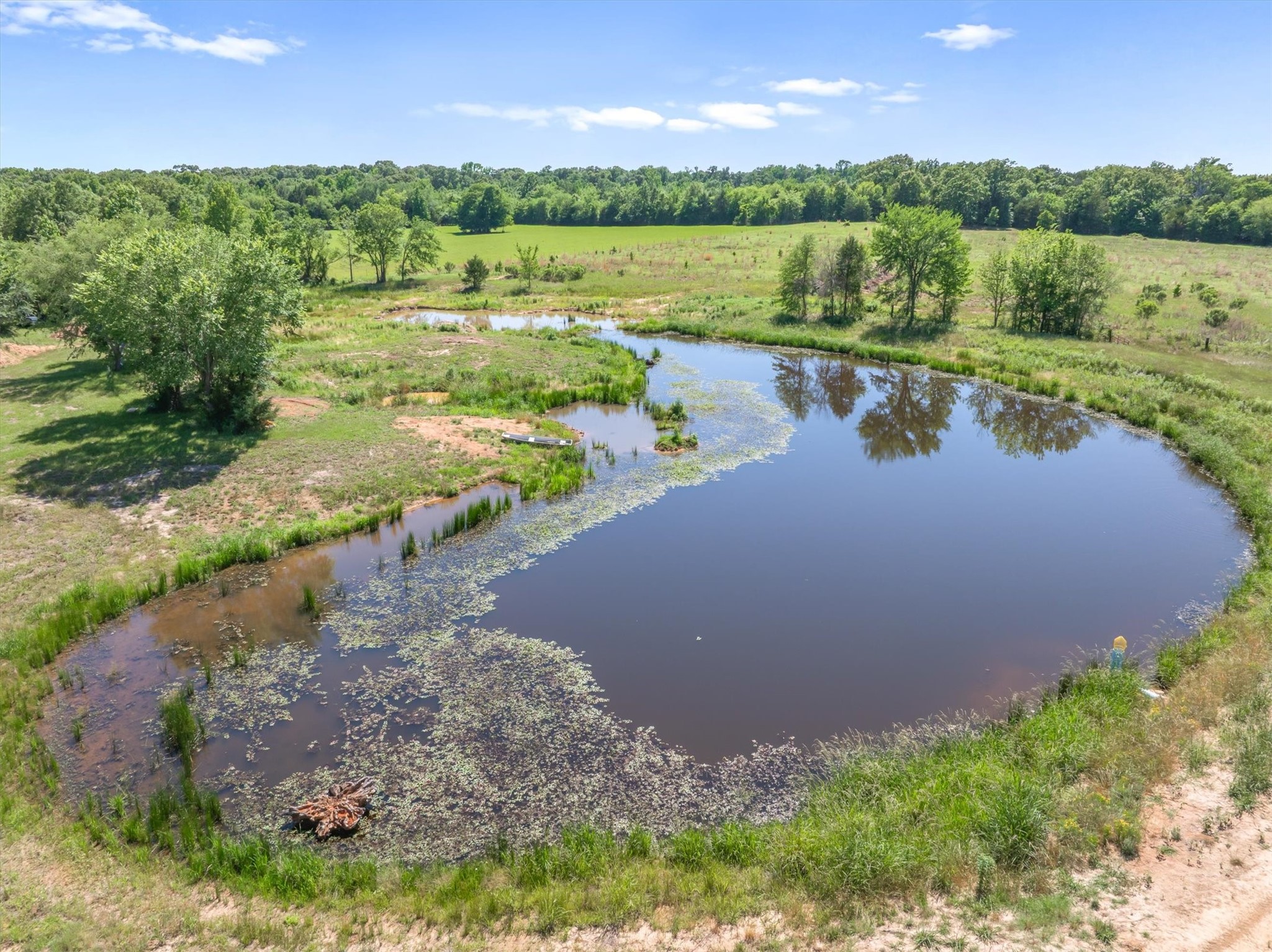 Tbd County Road 4509 Ben Wheeler TX 75754