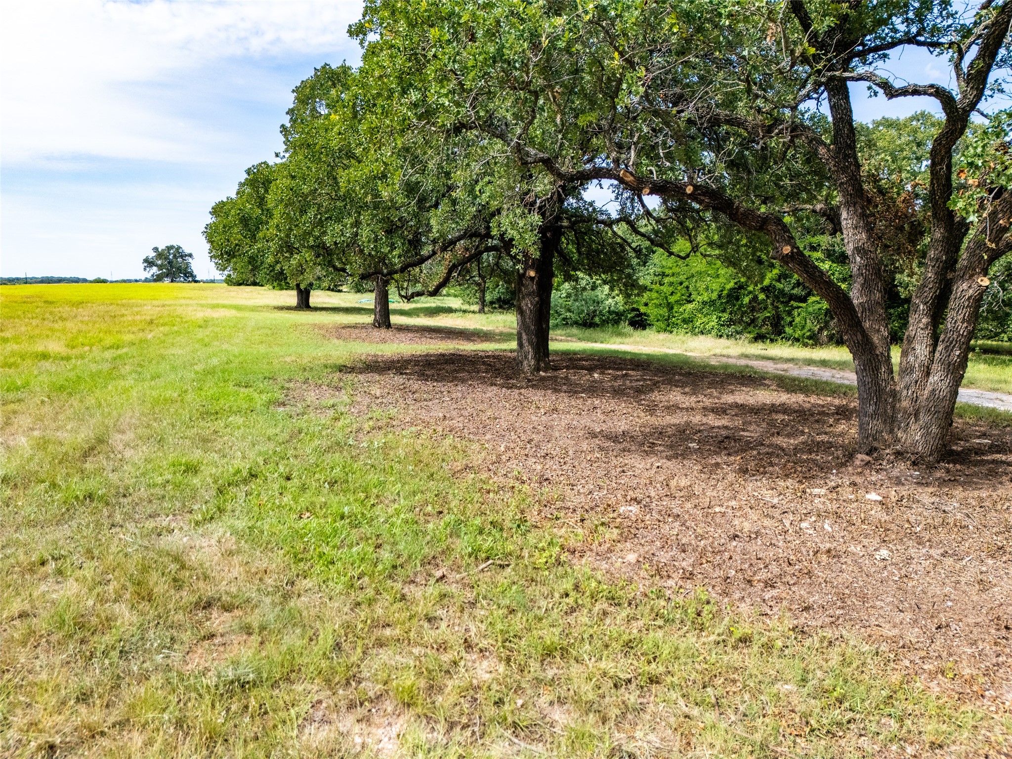 390 County Rd 1475 Road Chico TX 76431