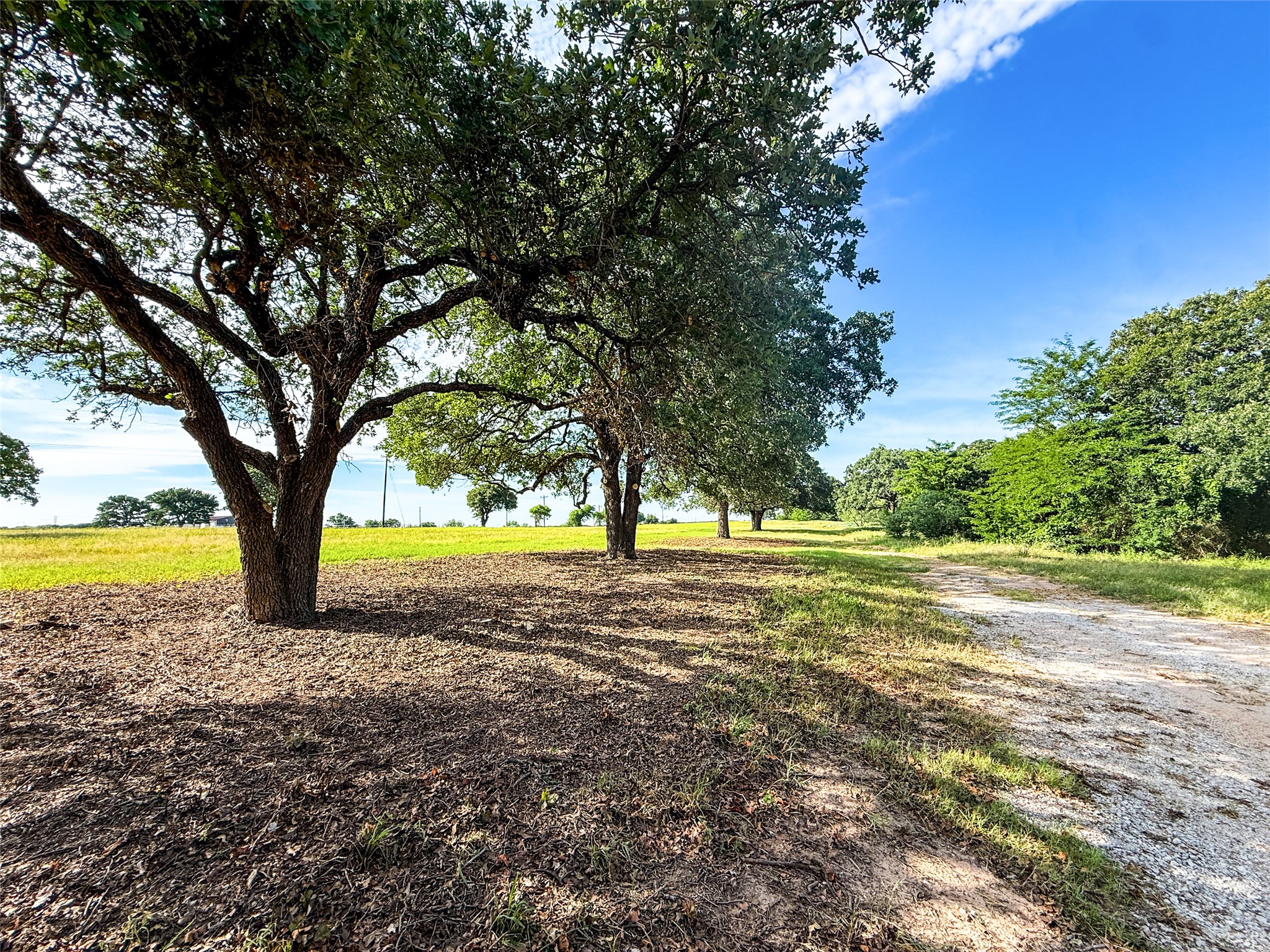 390 County Rd 1475 Road Chico TX 76431