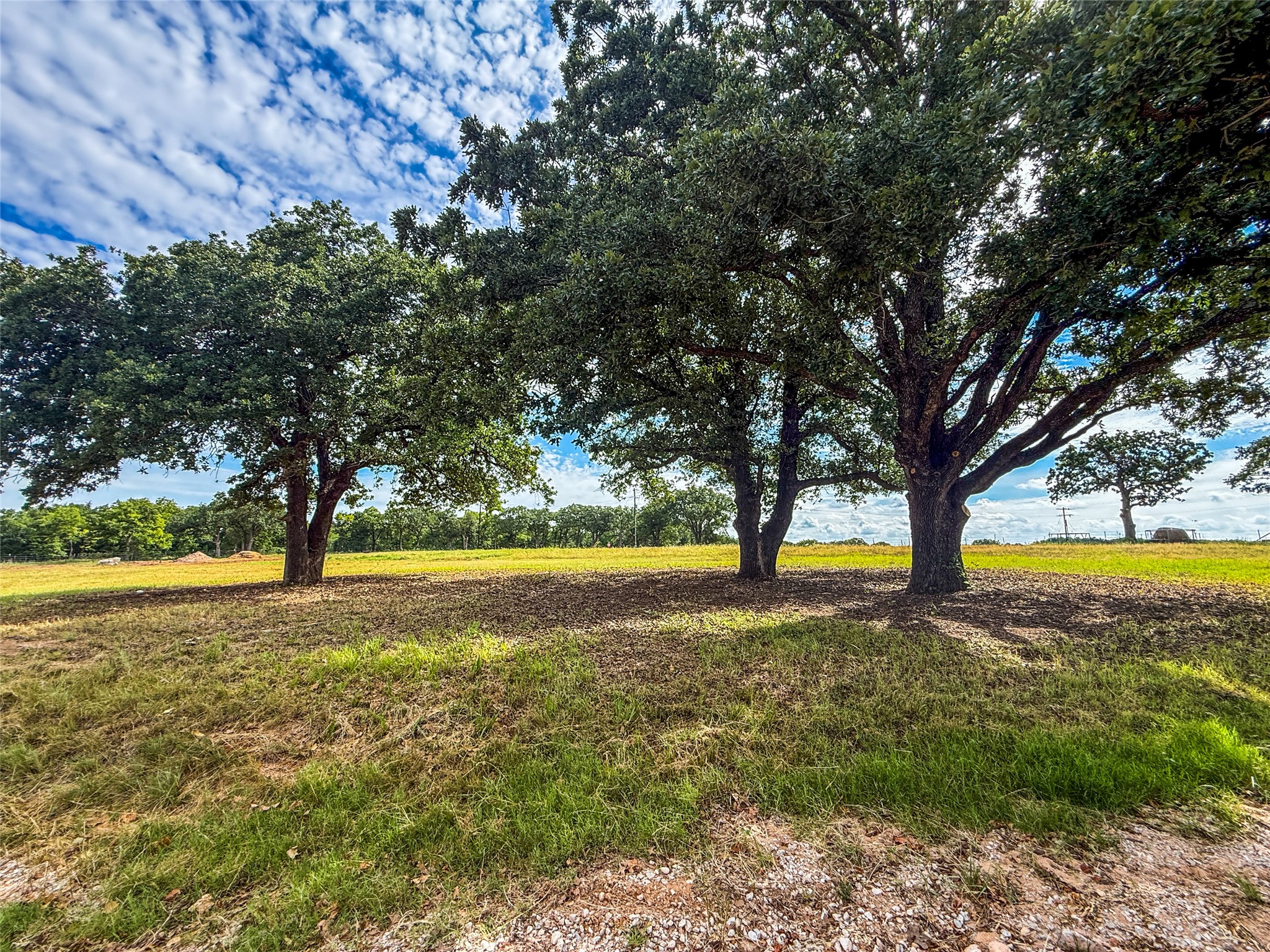 390 County Rd 1475 Road Chico TX 76431