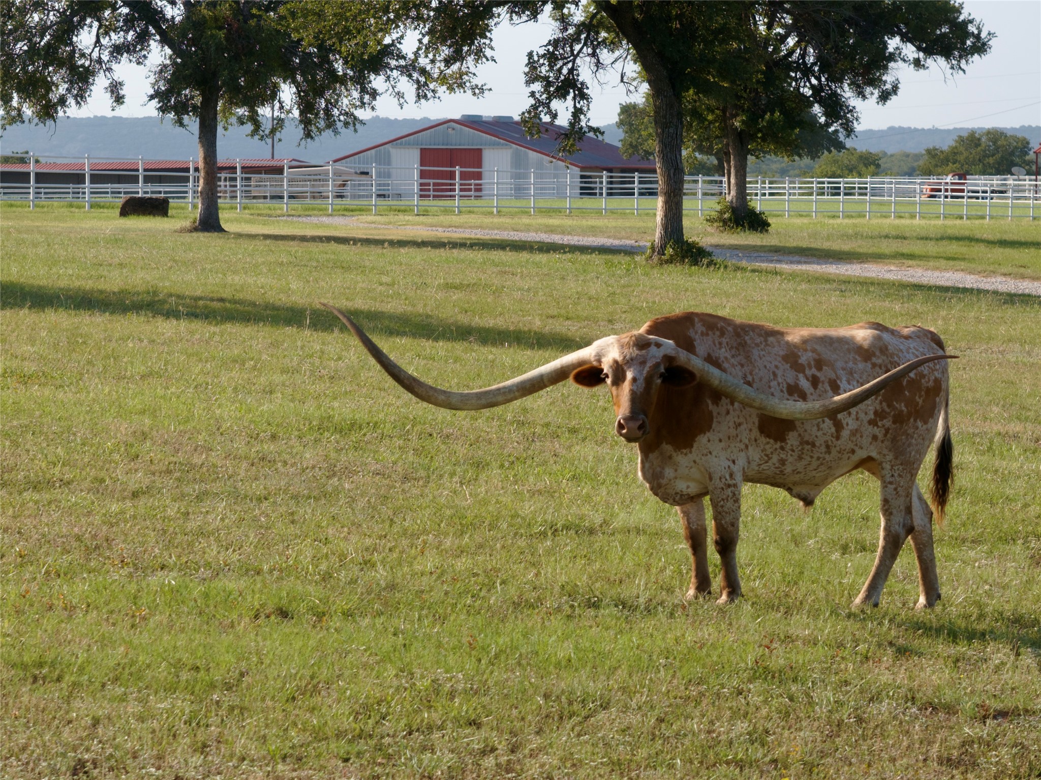 2110 Fm 3027 Mineral Wells TX 76067