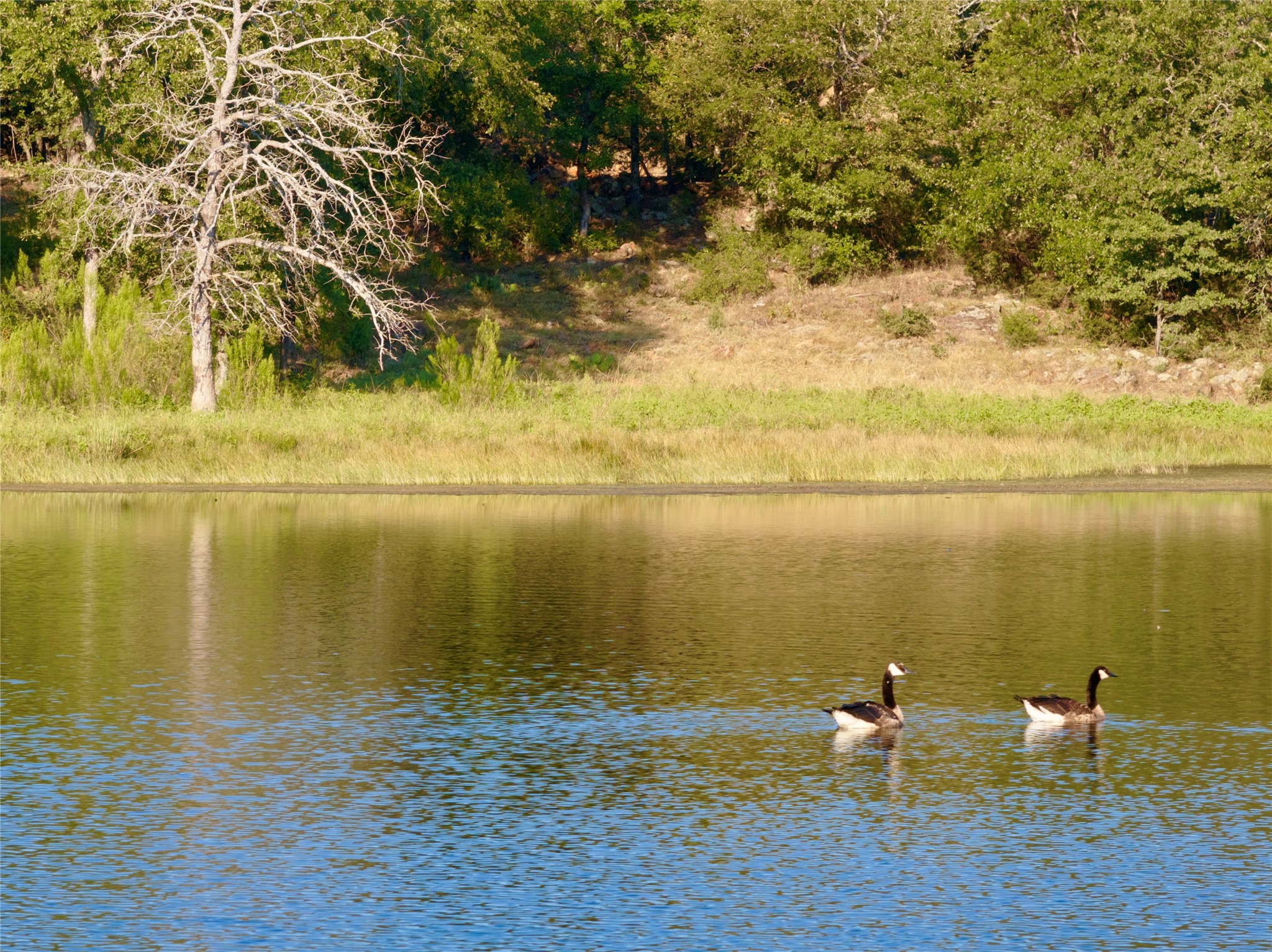 2110 Fm 3027 Mineral Wells TX 76067