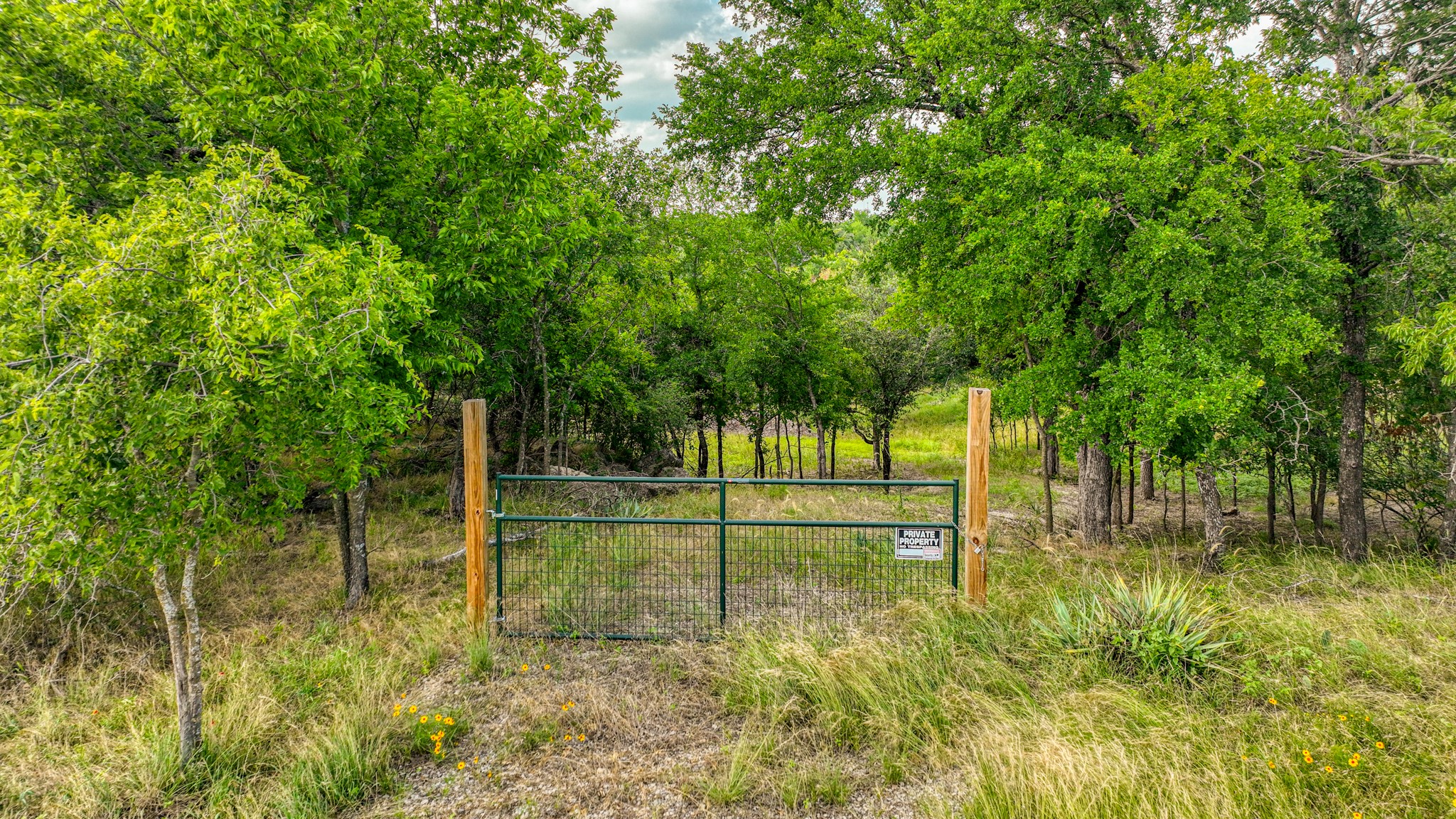 319 Fairway Drive Willow Park TX 76087