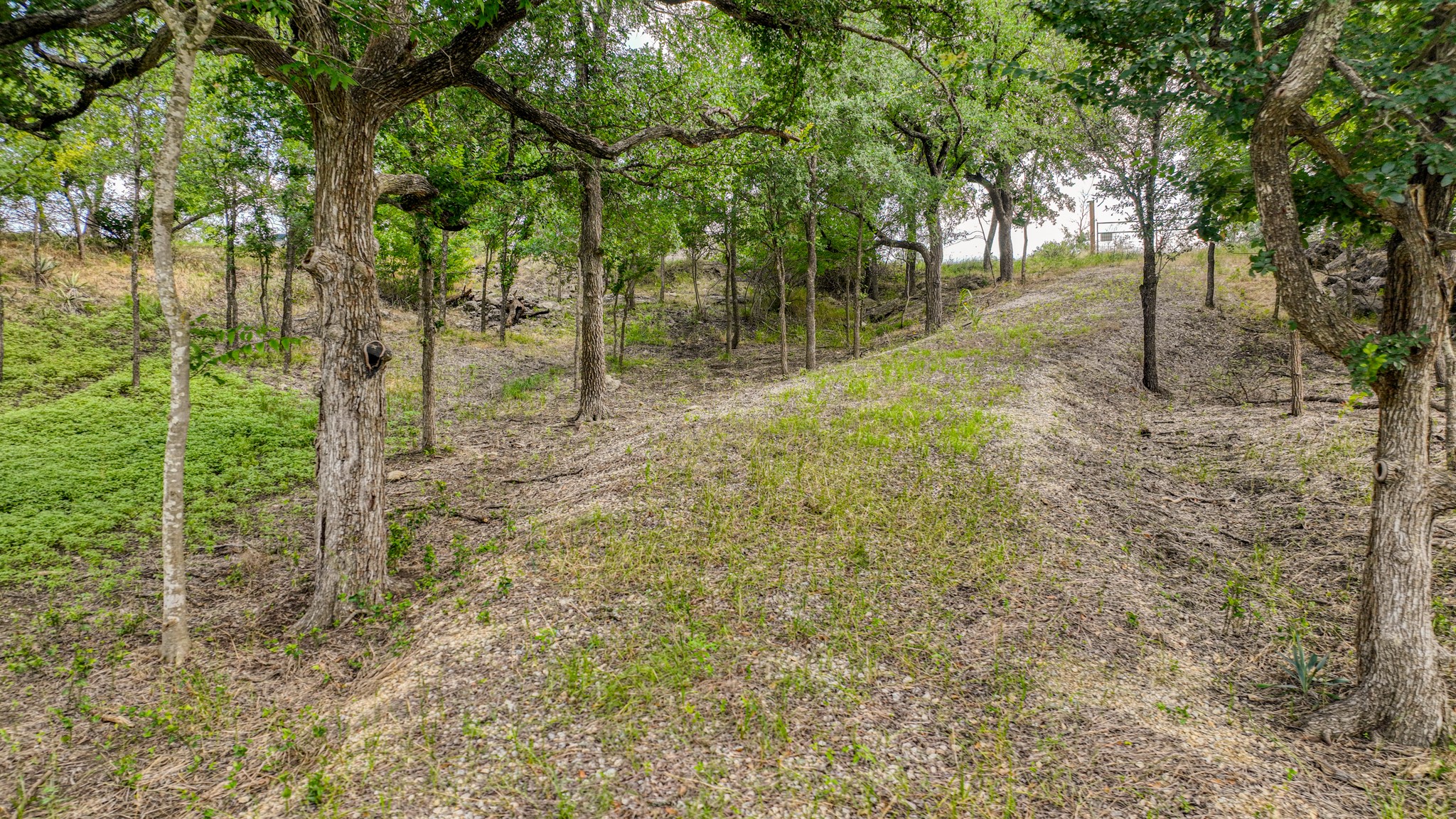 319 Fairway Drive Willow Park TX 76087