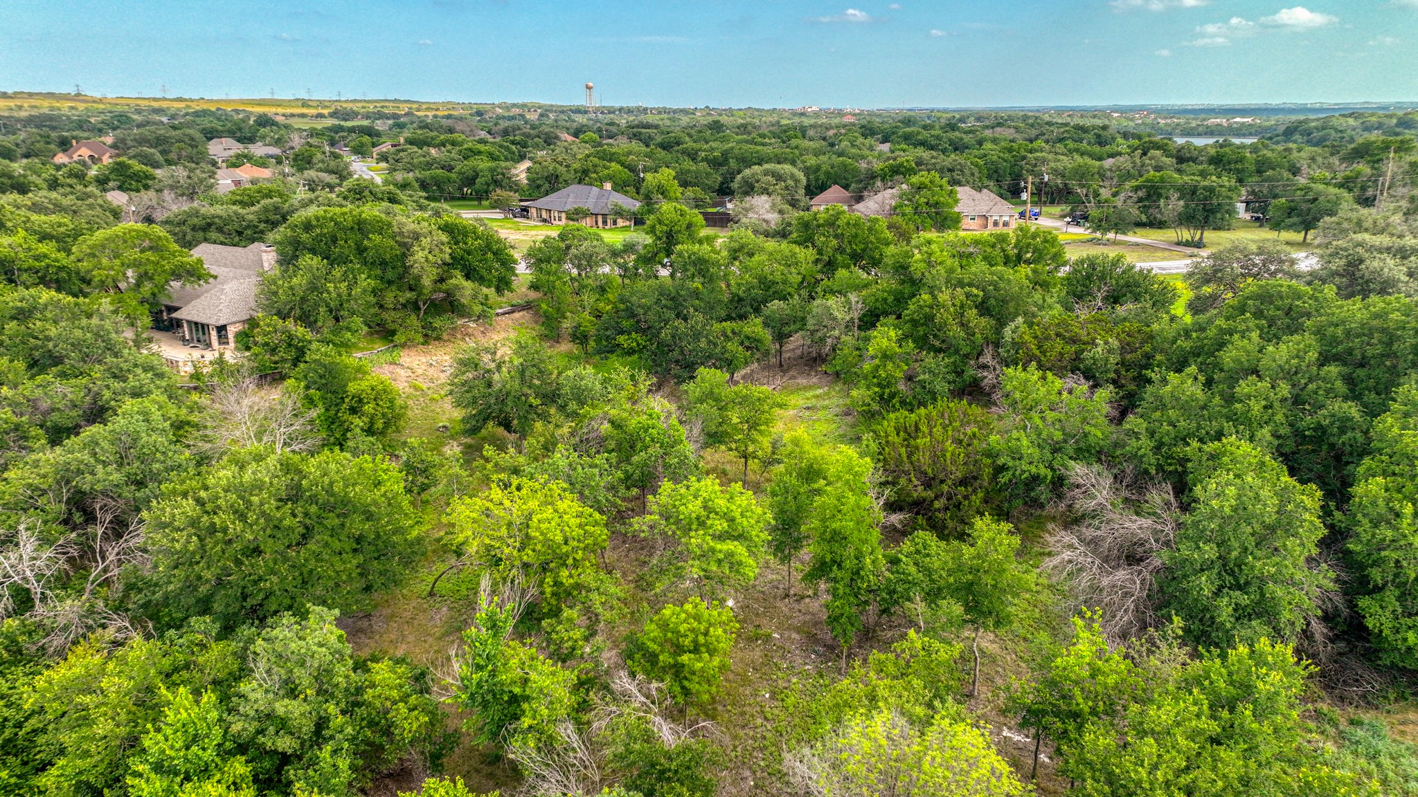 319 Fairway Drive Willow Park TX 76087