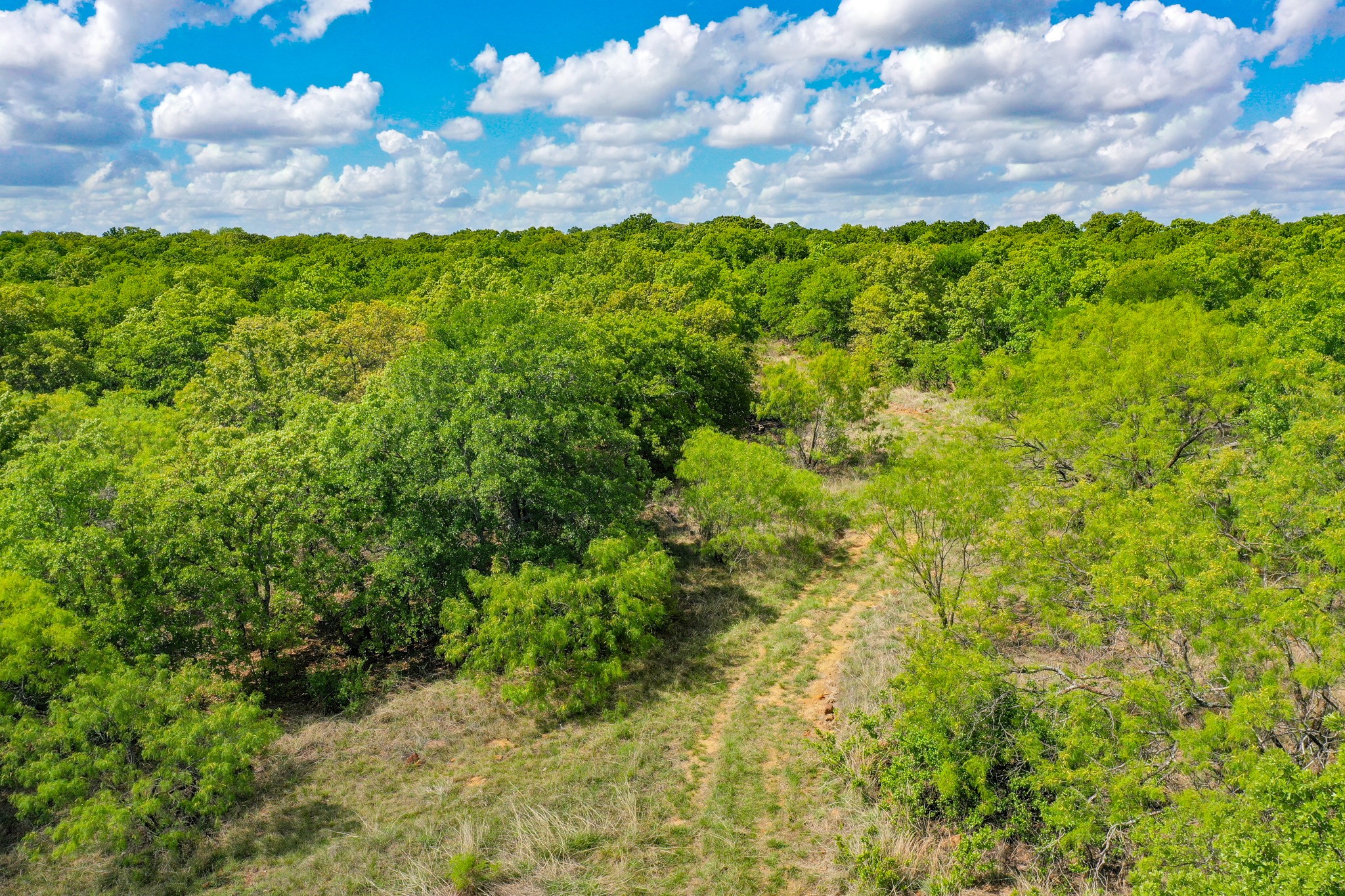240 Acres Middlebrooks Lane Jacksboro TX 76458