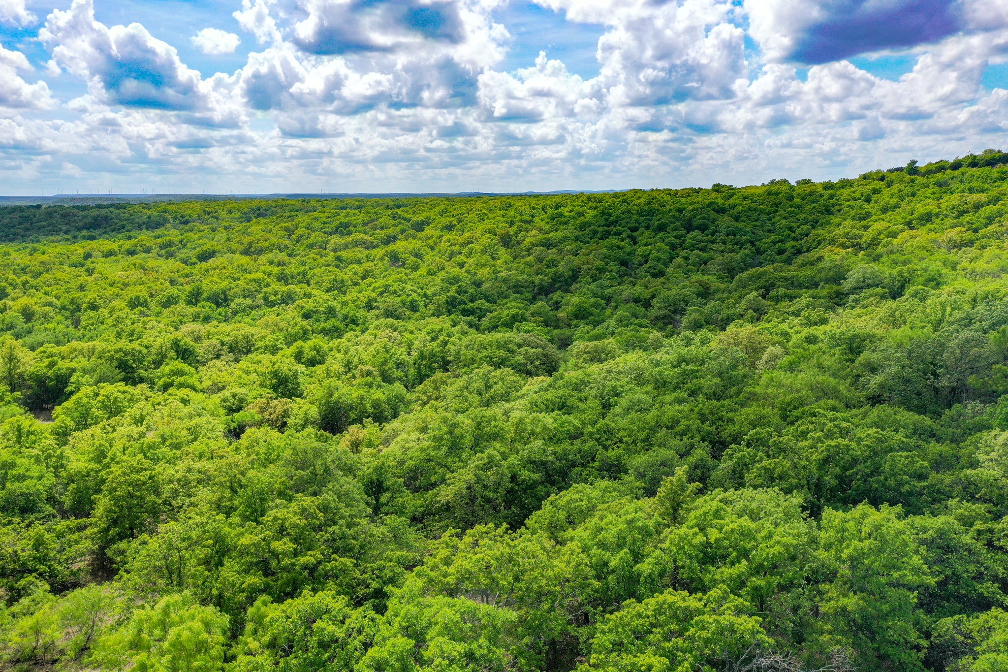 240 Acres Middlebrooks Lane Jacksboro TX 76458