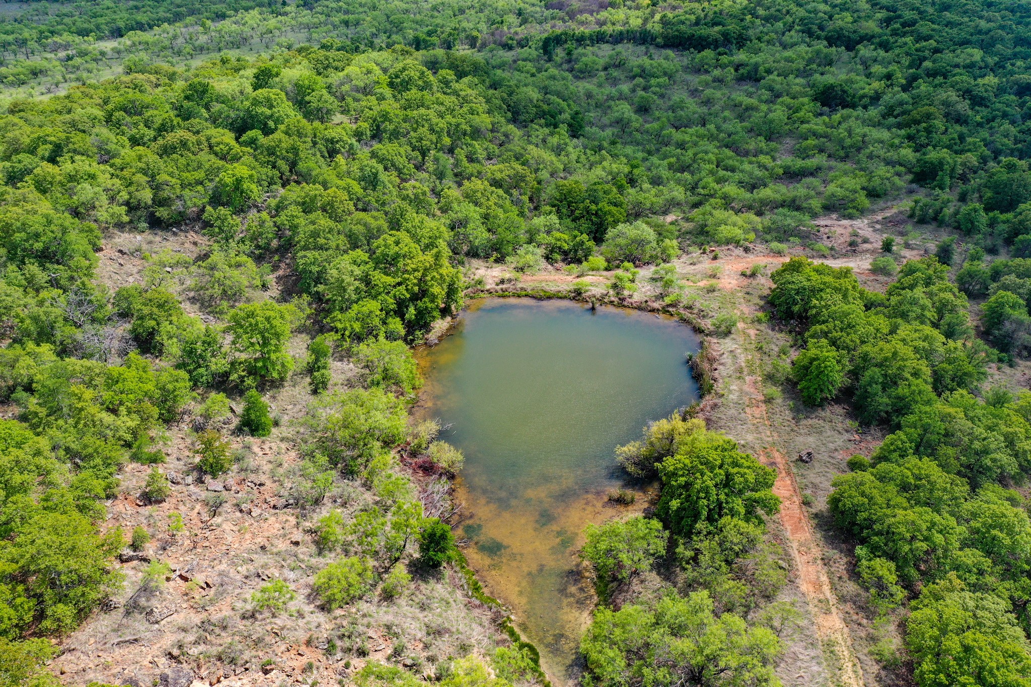 240 Acres Middlebrooks Lane Jacksboro TX 76458