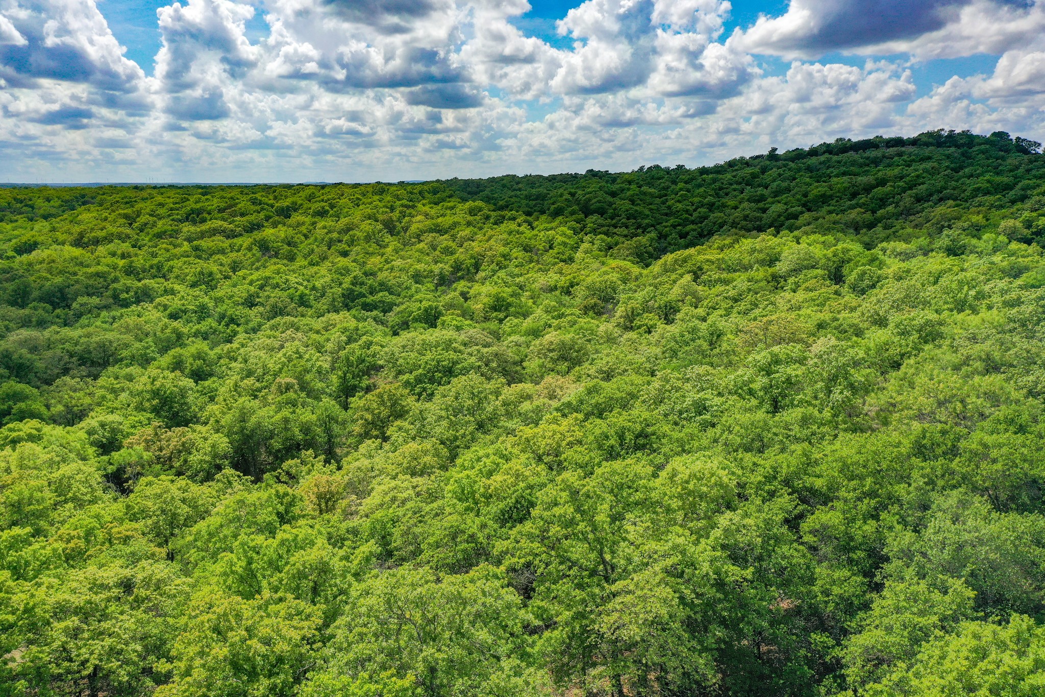 240 Acres Middlebrooks Lane Jacksboro TX 76458
