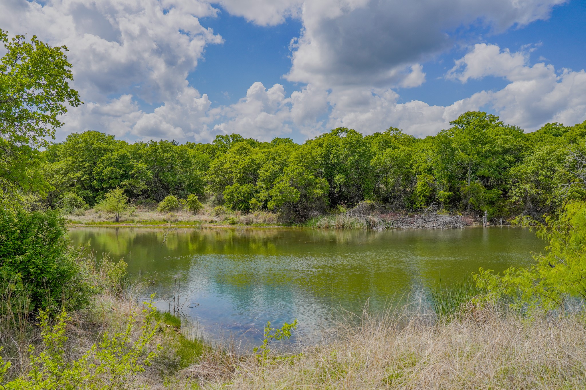 240 Acres Middlebrooks Lane Jacksboro TX 76458