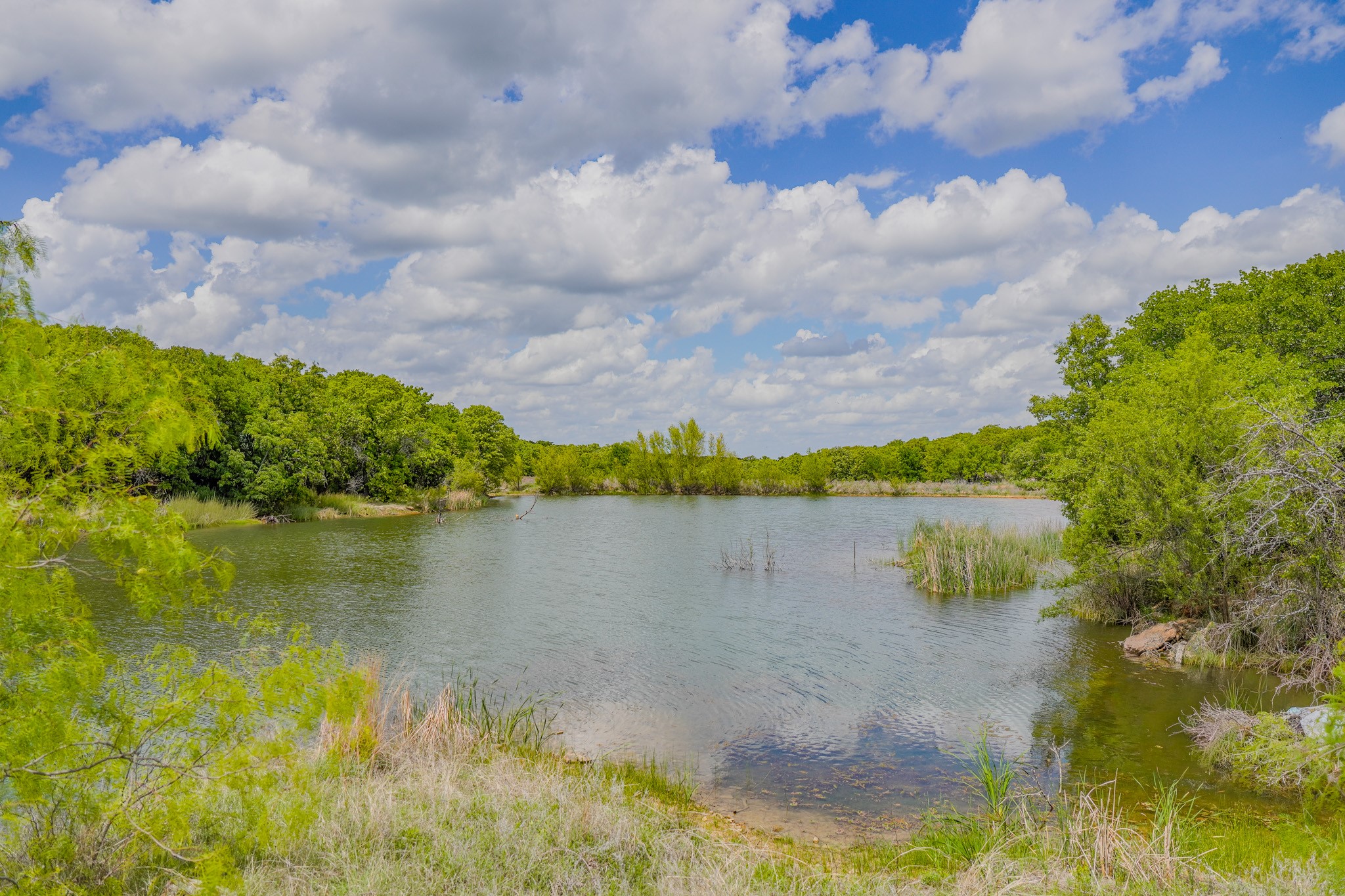 240 Acres Middlebrooks Lane Jacksboro TX 76458