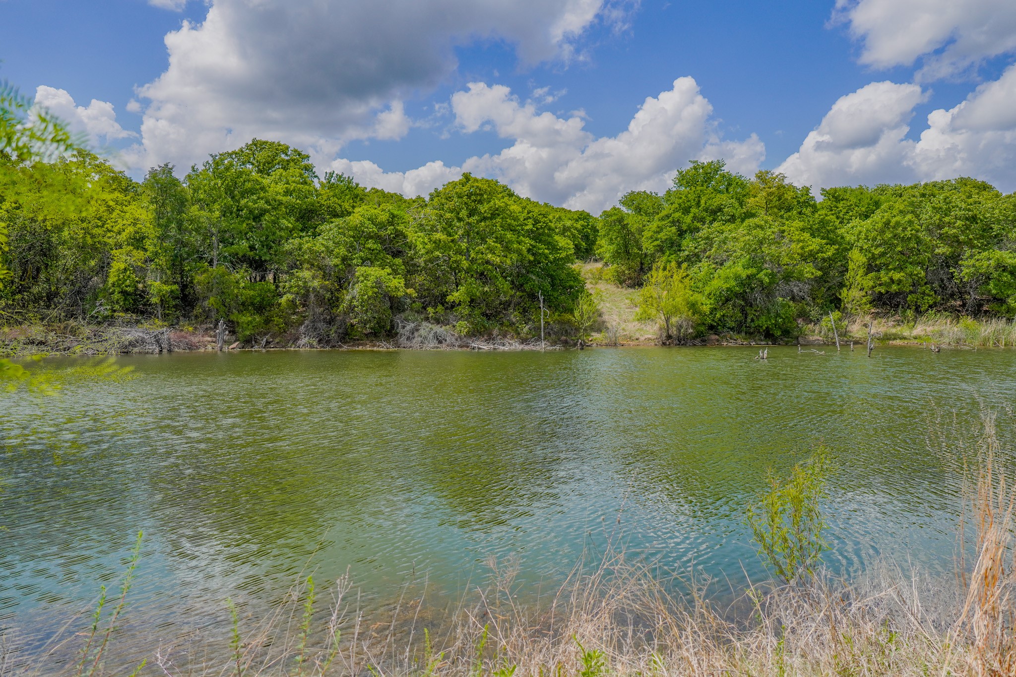 240 Acres Middlebrooks Lane Jacksboro TX 76458