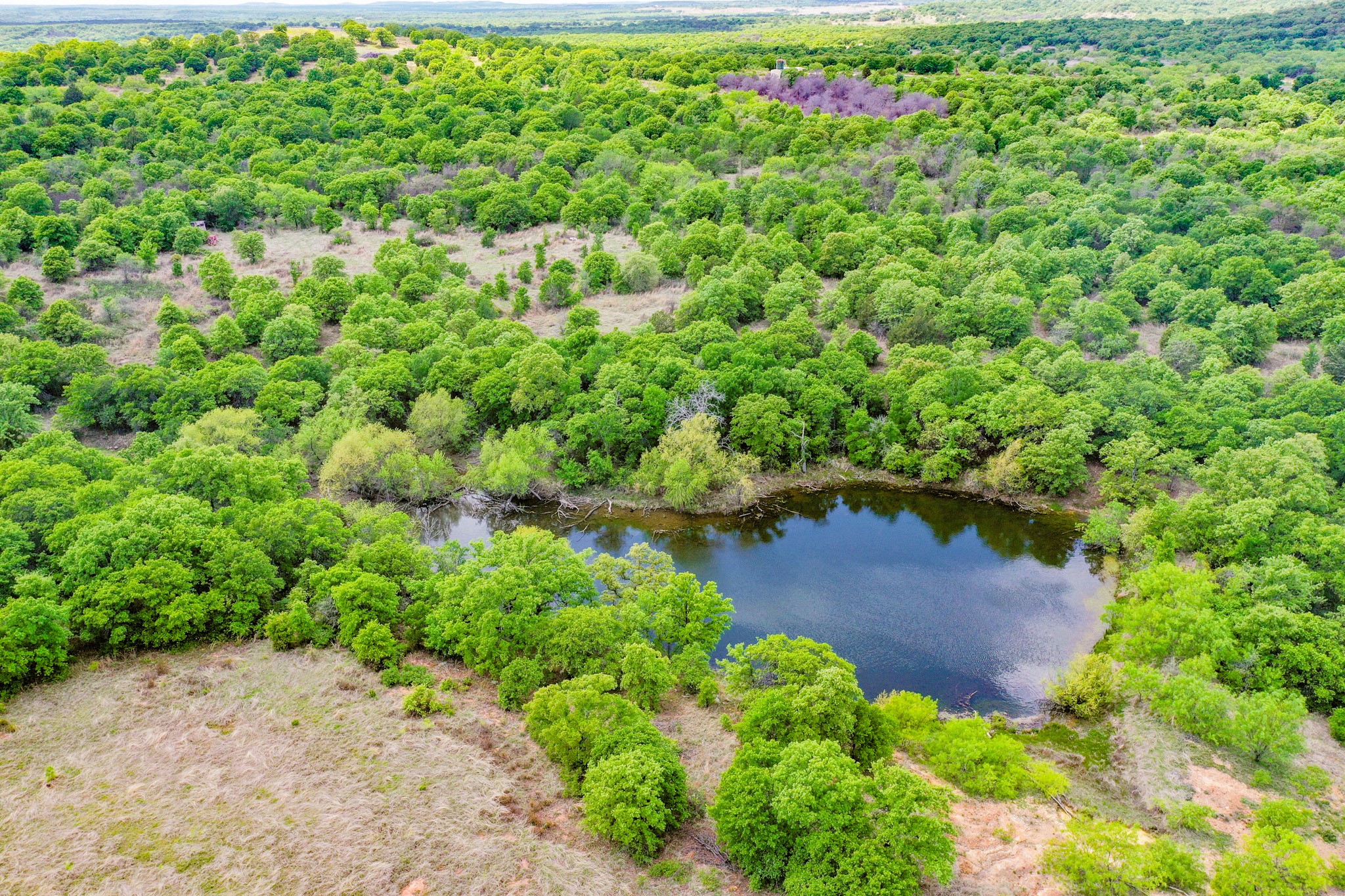 240 Acres Middlebrooks Lane Jacksboro TX 76458