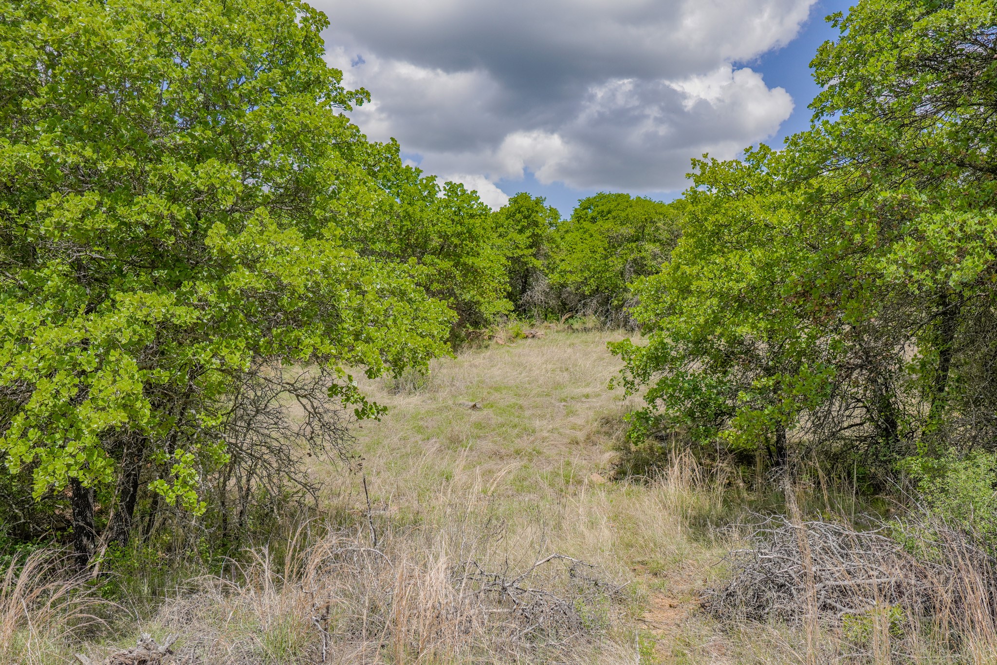 240 Acres Middlebrooks Lane Jacksboro TX 76458