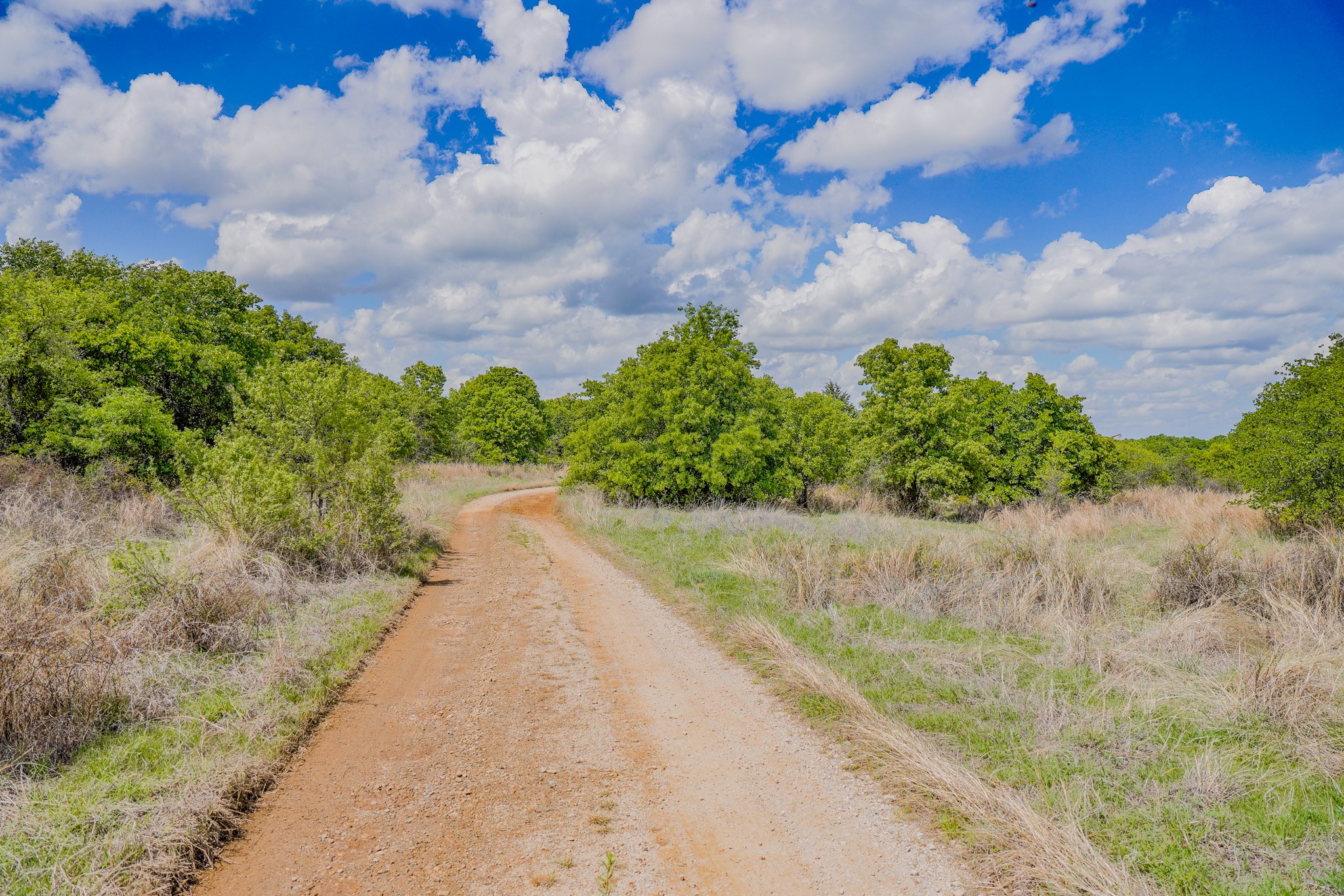 240 Acres Middlebrooks Lane Jacksboro TX 76458
