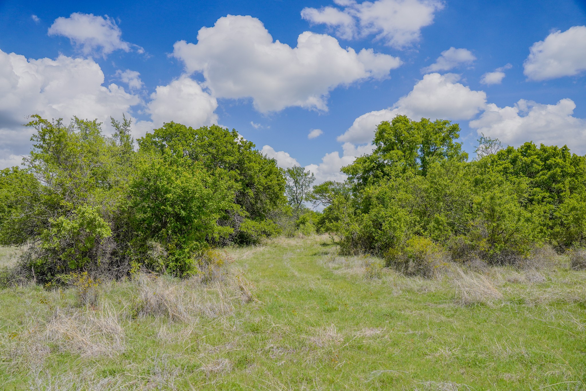 240 Acres Middlebrooks Lane Jacksboro TX 76458