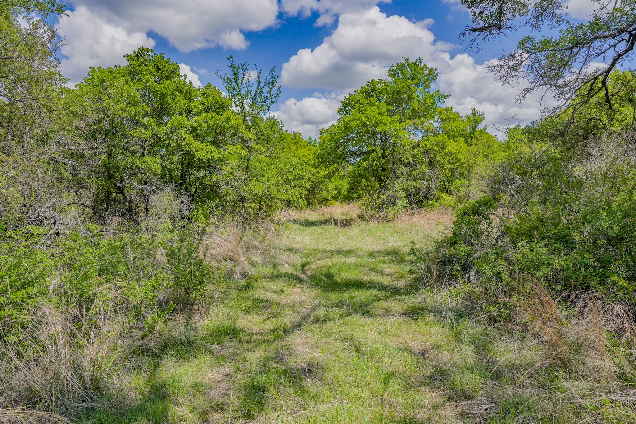 240 Acres Middlebrooks Lane Jacksboro TX 76458