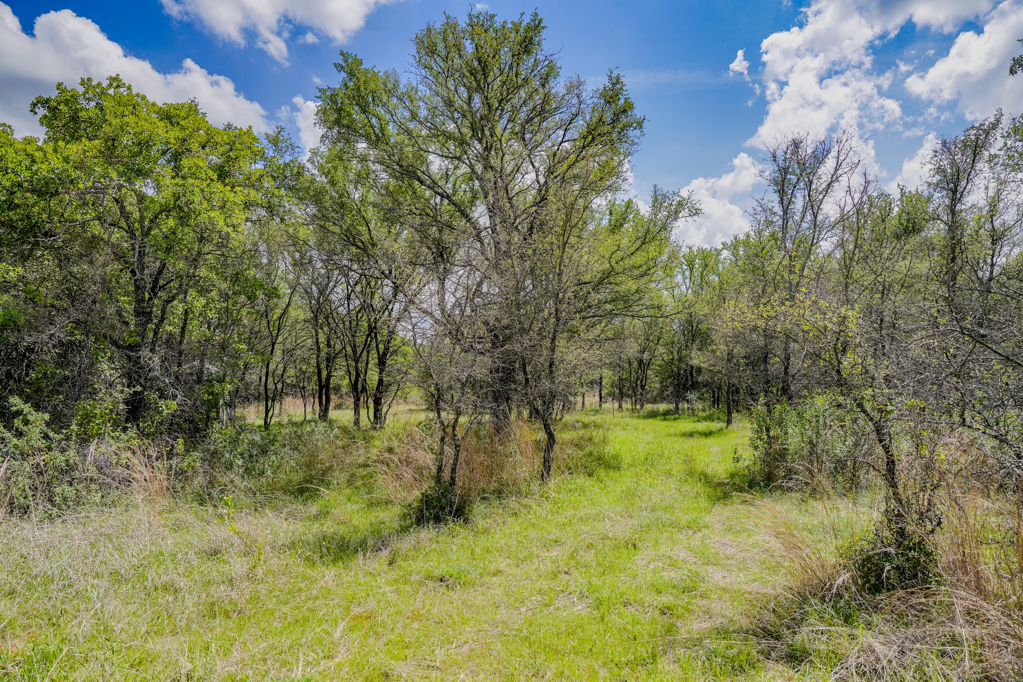 240 Acres Middlebrooks Lane Jacksboro TX 76458