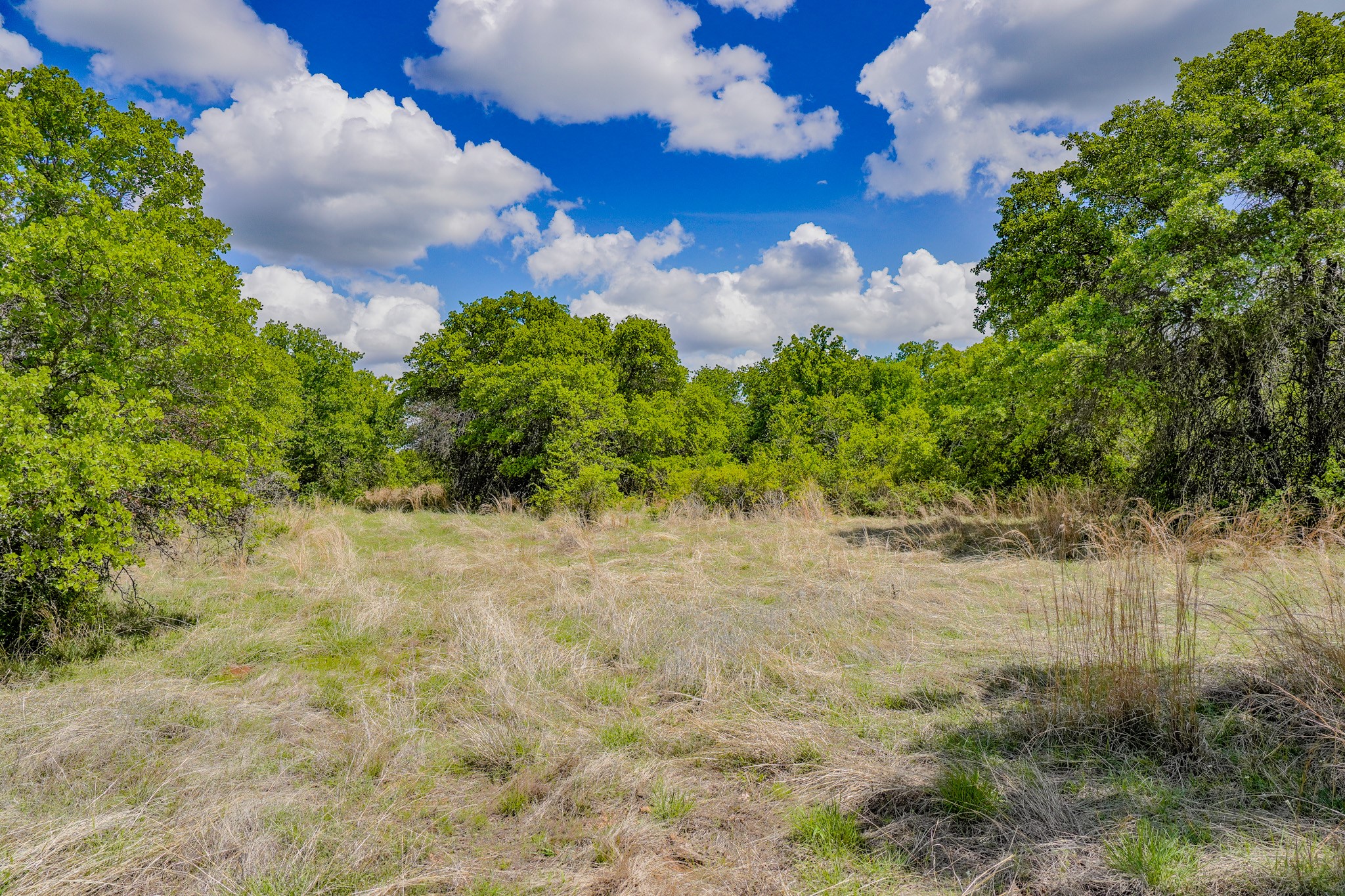 240 Acres Middlebrooks Lane Jacksboro TX 76458