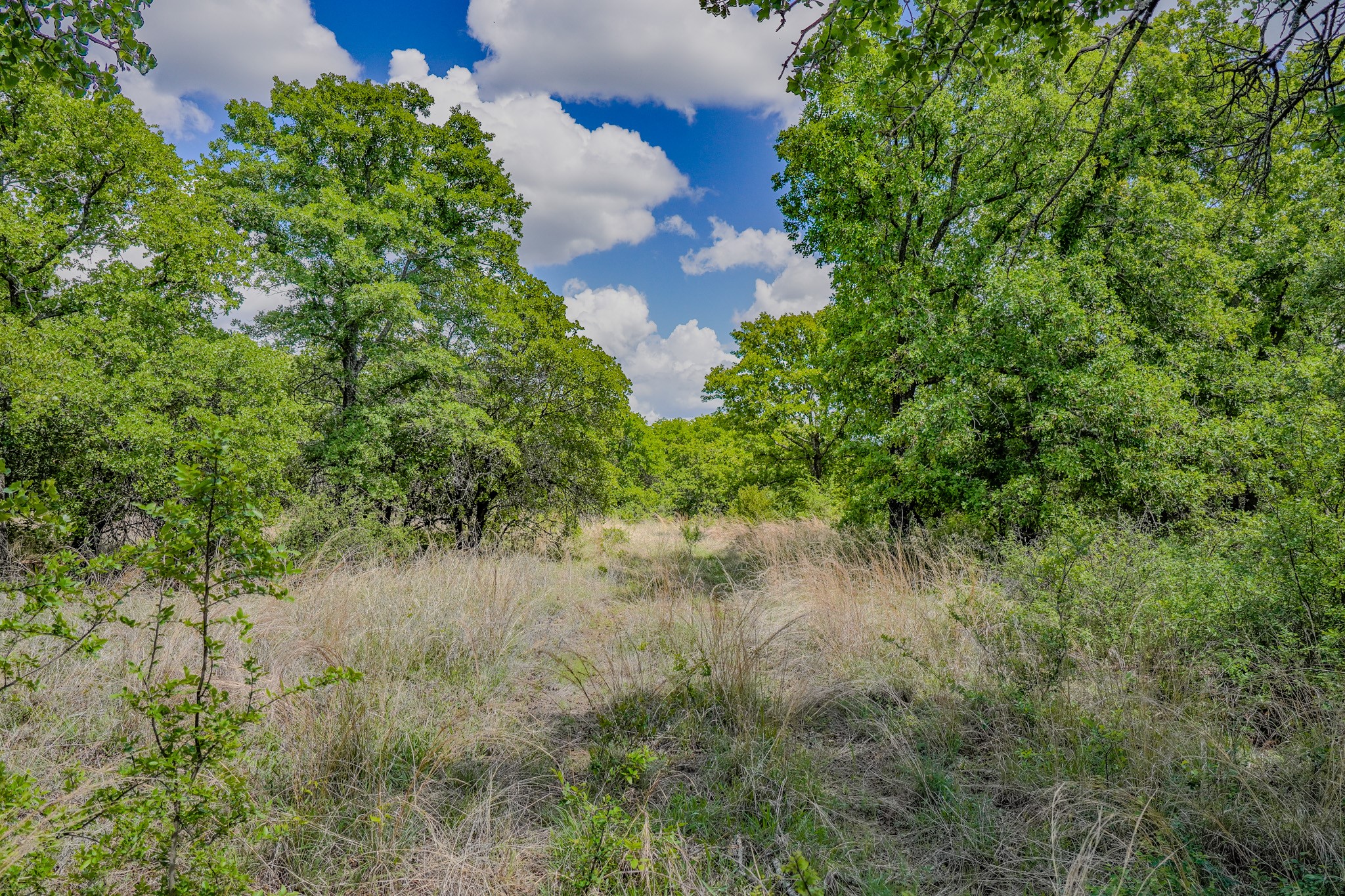 240 Acres Middlebrooks Lane Jacksboro TX 76458