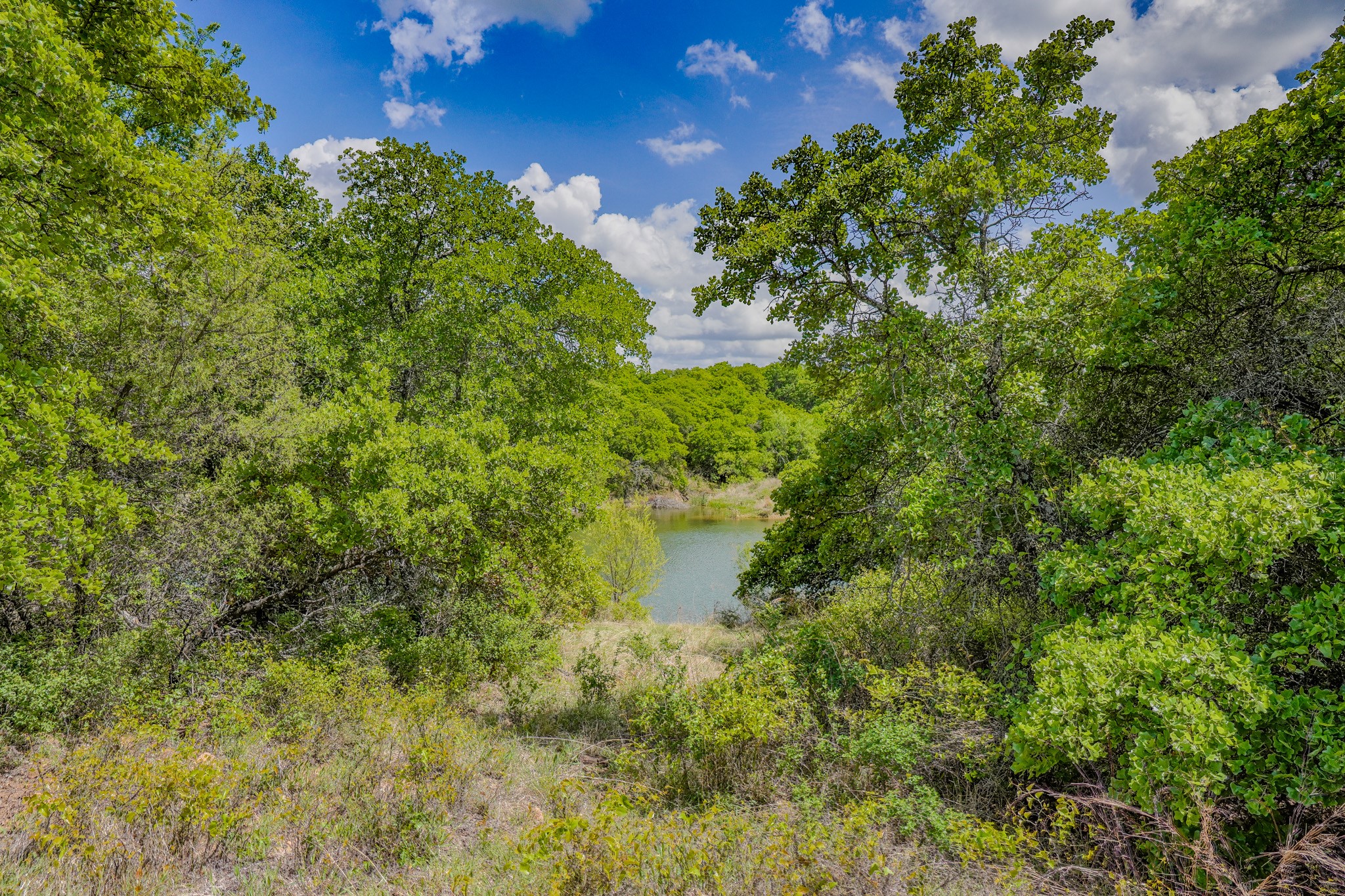 240 Acres Middlebrooks Lane Jacksboro TX 76458