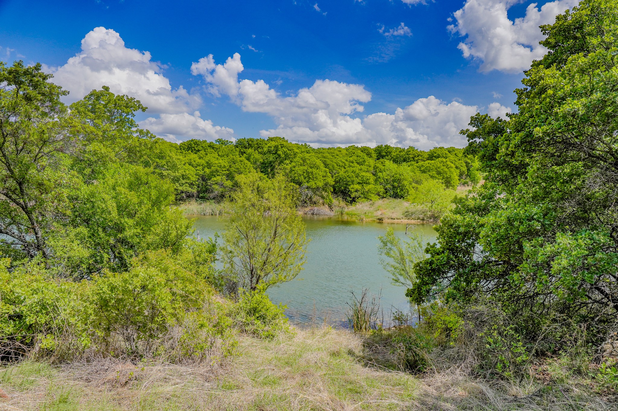 240 Acres Middlebrooks Lane Jacksboro TX 76458