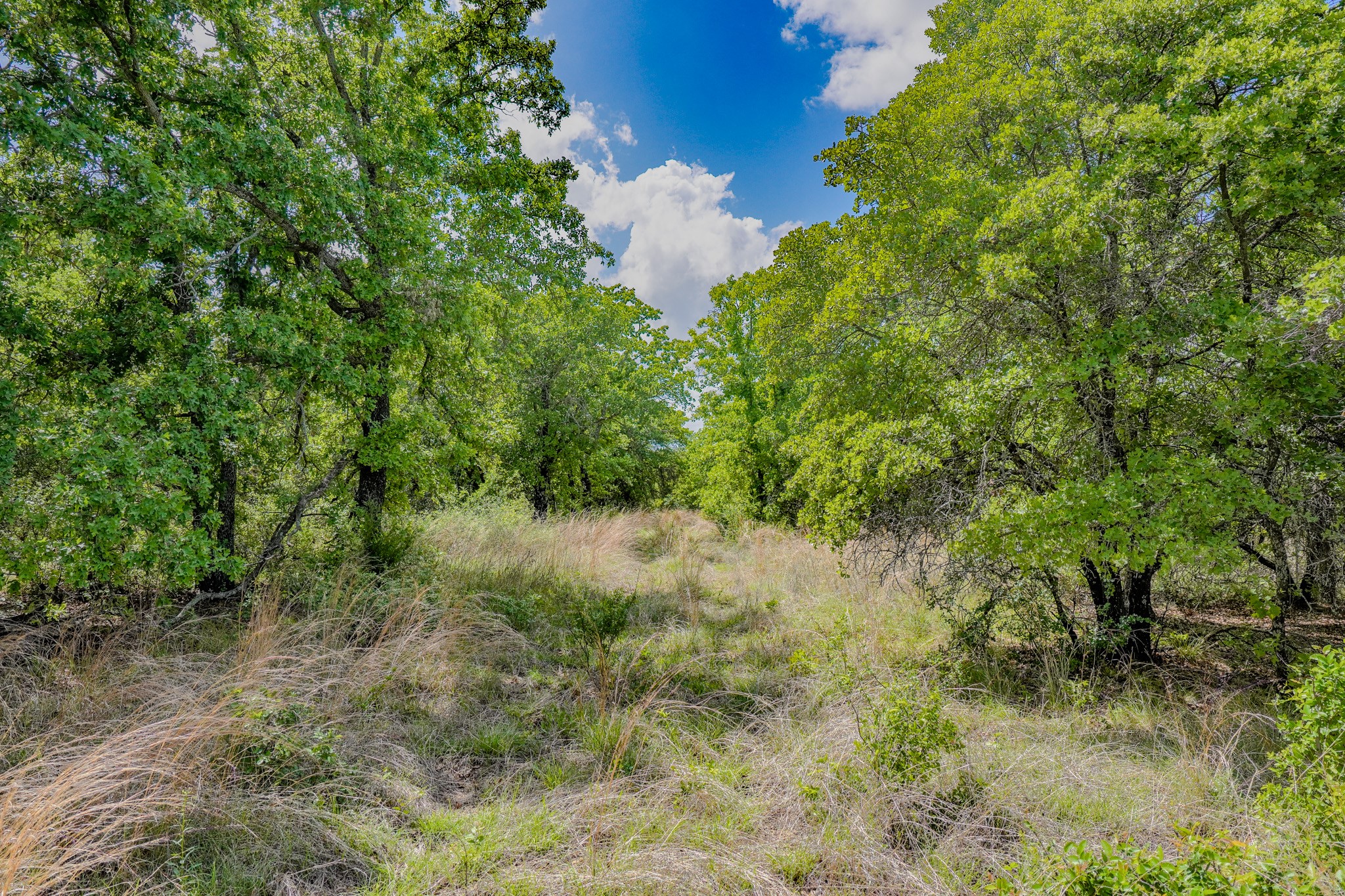 240 Acres Middlebrooks Lane Jacksboro TX 76458