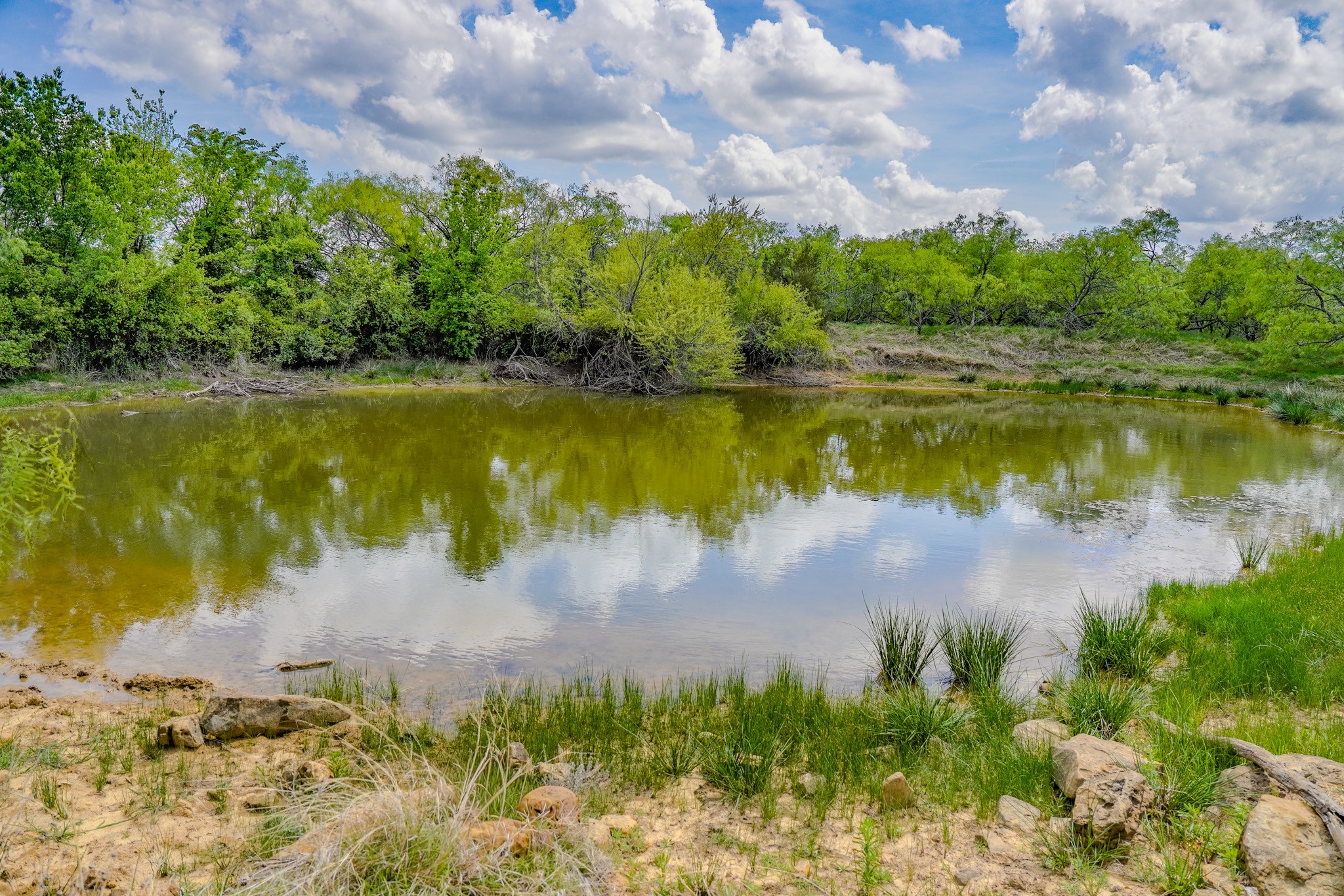 240 Acres Middlebrooks Lane Jacksboro TX 76458