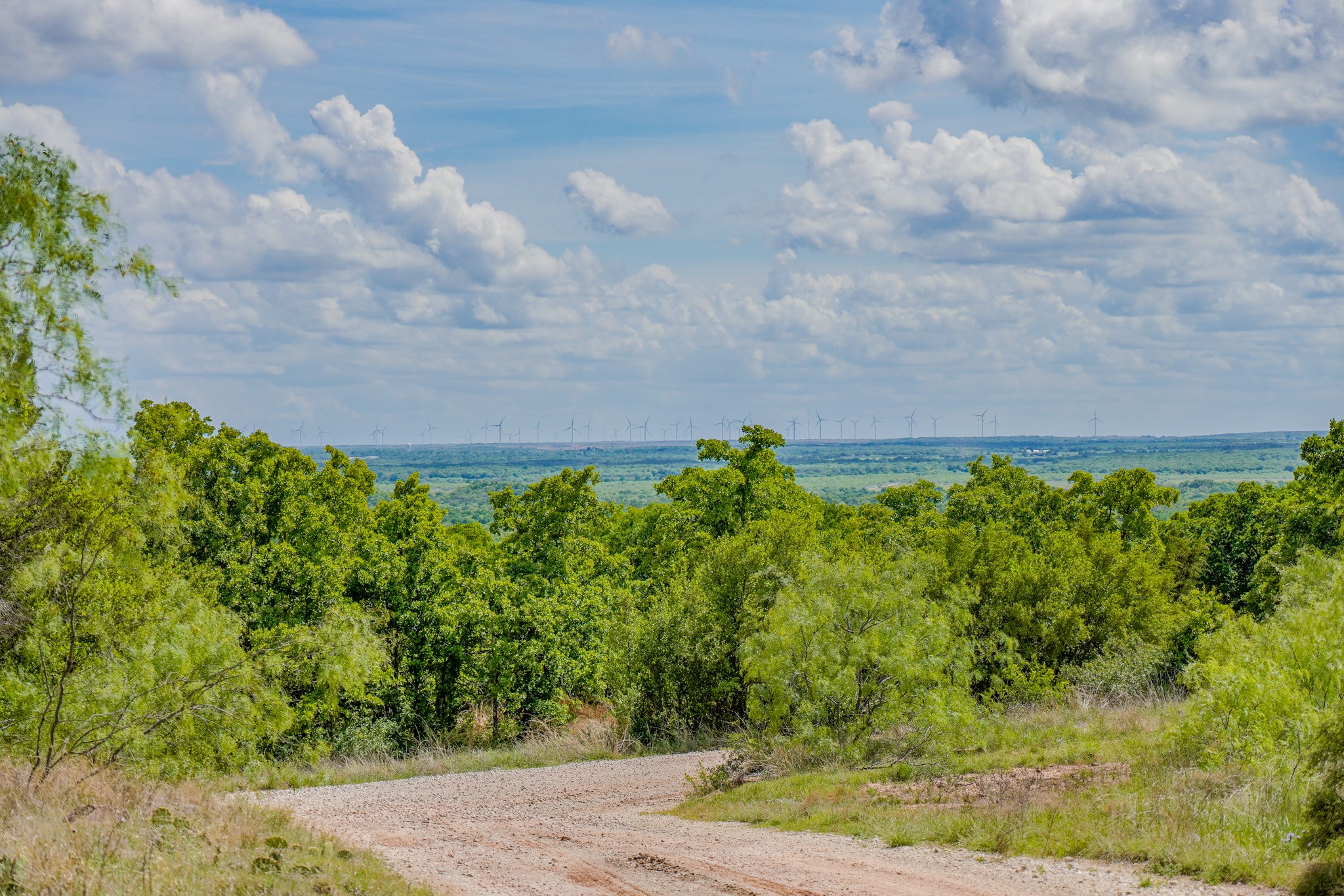 240 Acres Middlebrooks Lane Jacksboro TX 76458