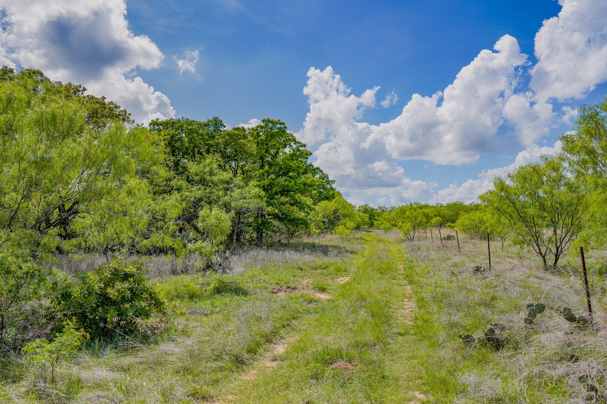 240 Acres Middlebrooks Lane Jacksboro TX 76458