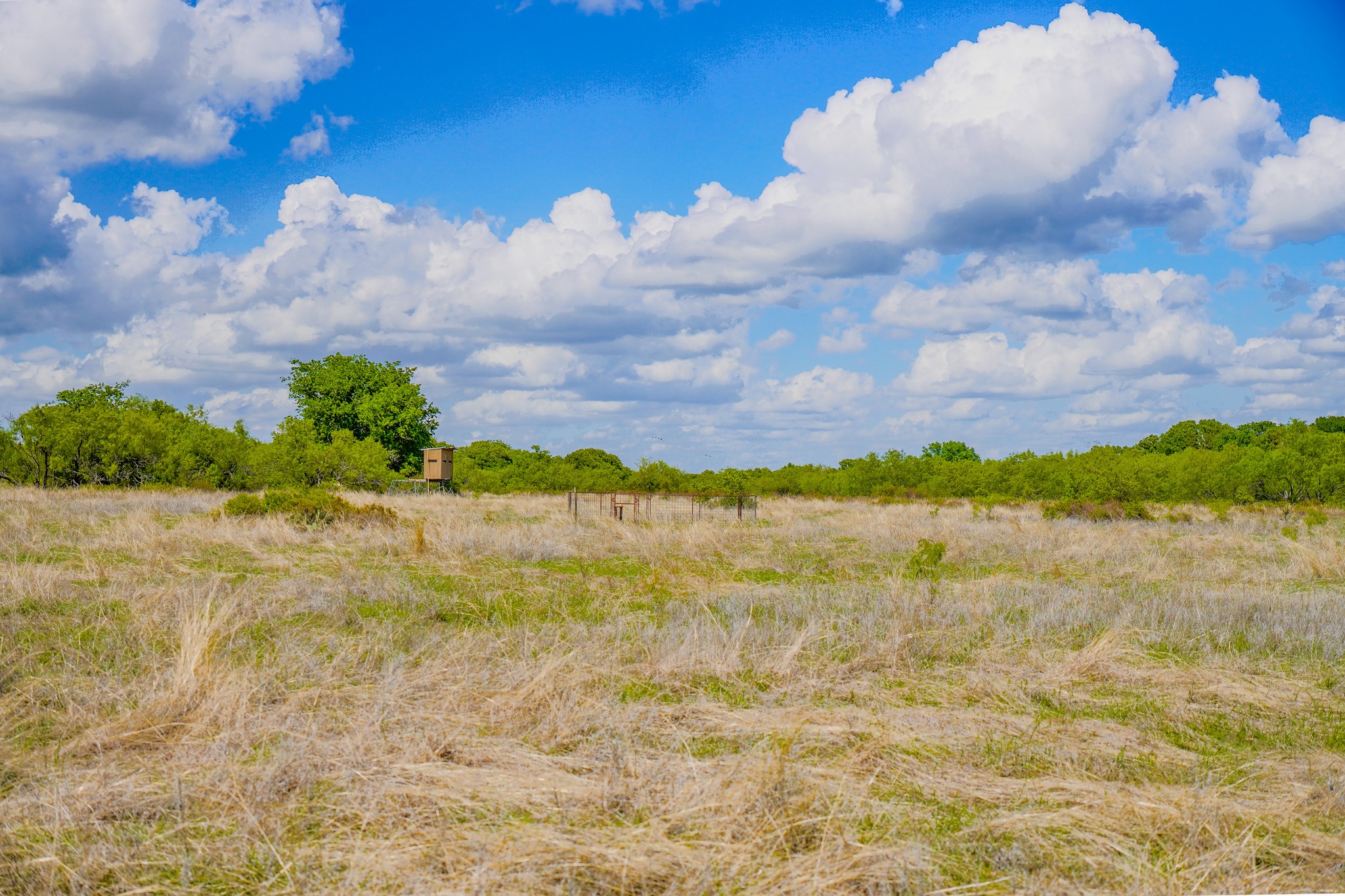 240 Acres Middlebrooks Lane Jacksboro TX 76458