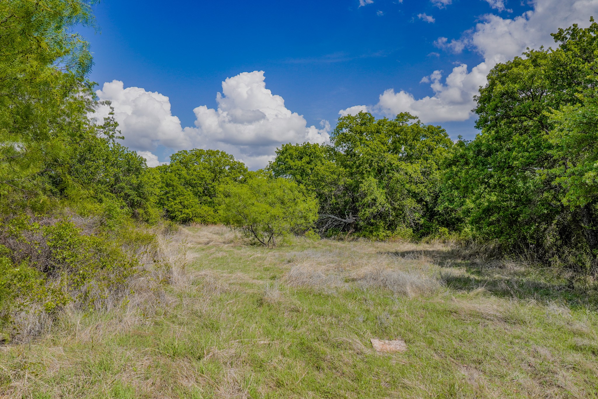 240 Acres Middlebrooks Lane Jacksboro TX 76458